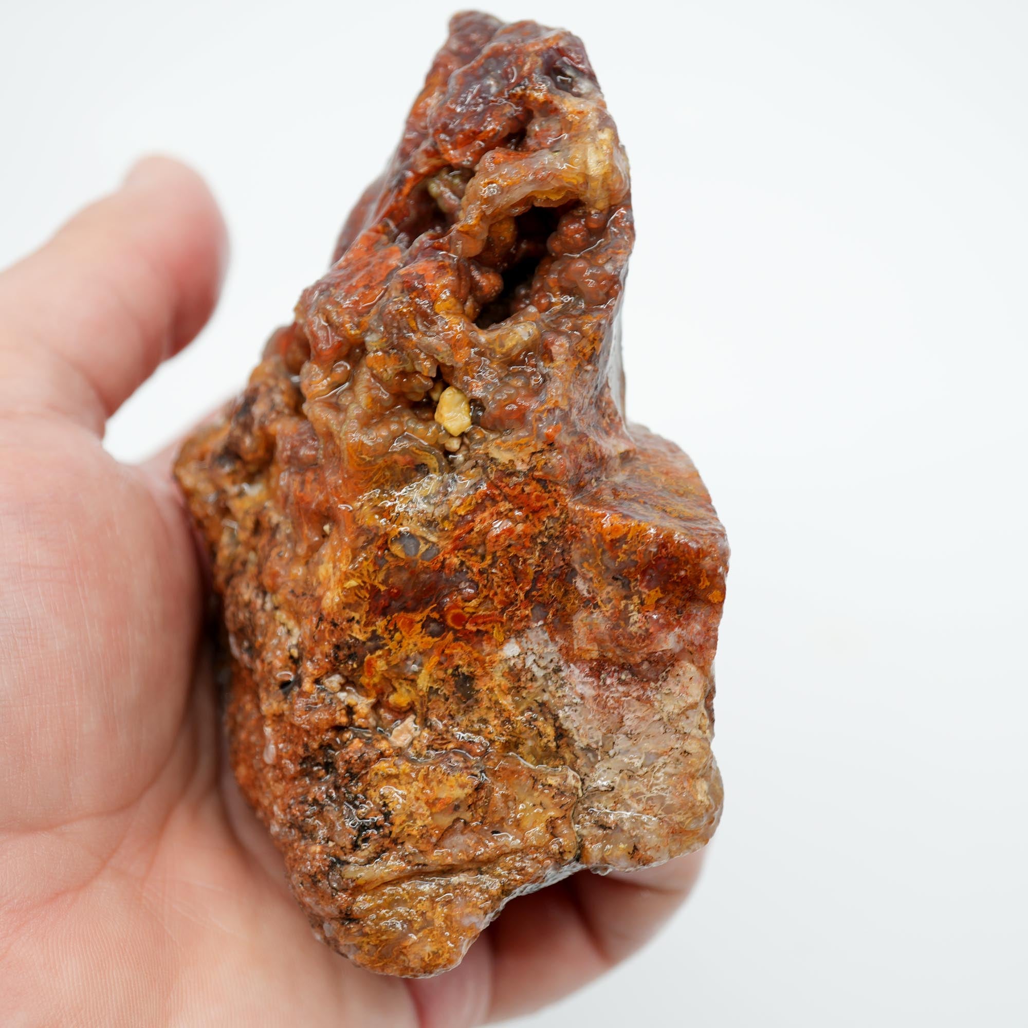 San Carlos Agate Rough - Bright Red Orange Moss with Blue Ice Botryoidal
