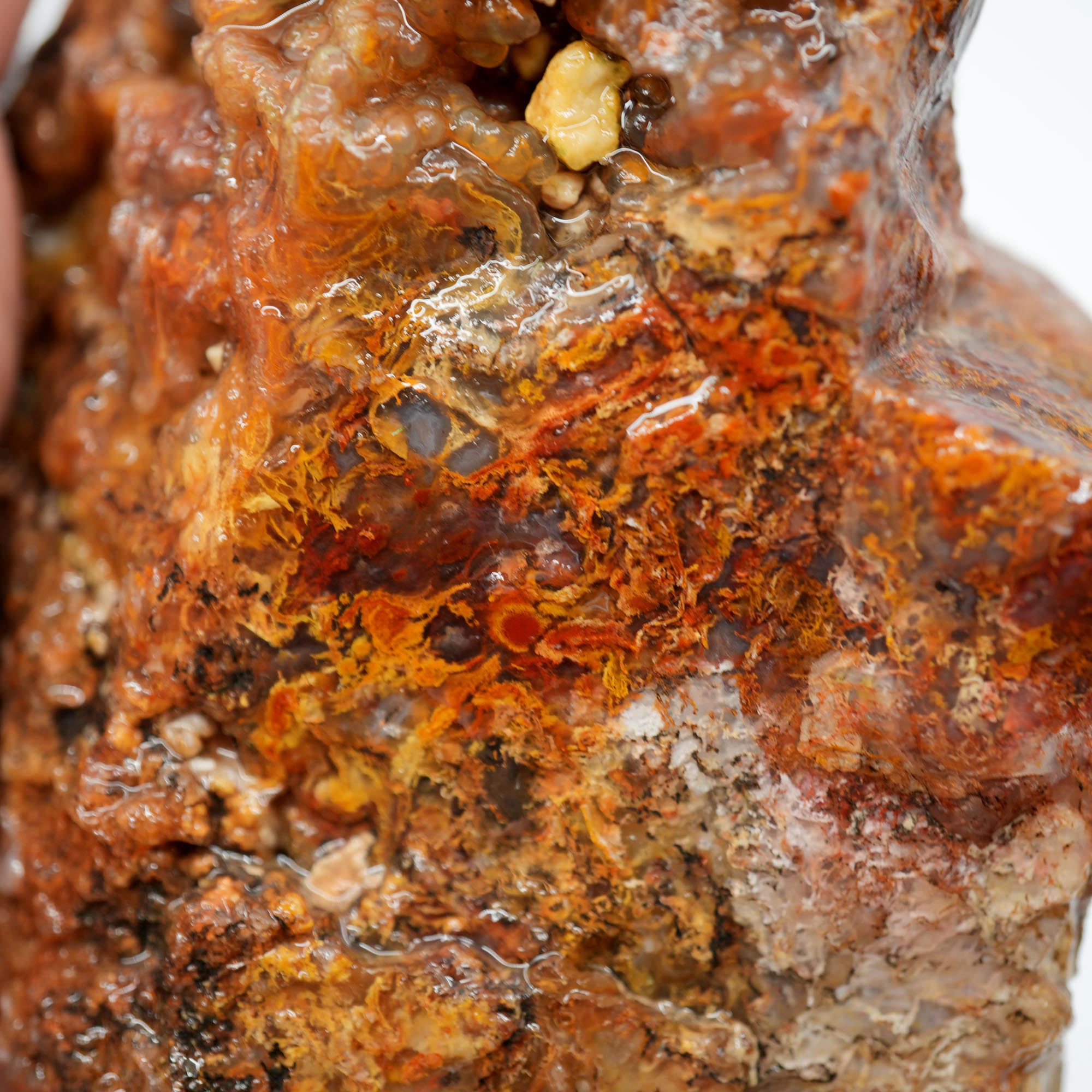 San Carlos Agate Rough - Bright Red Orange Moss with Blue Ice Botryoidal