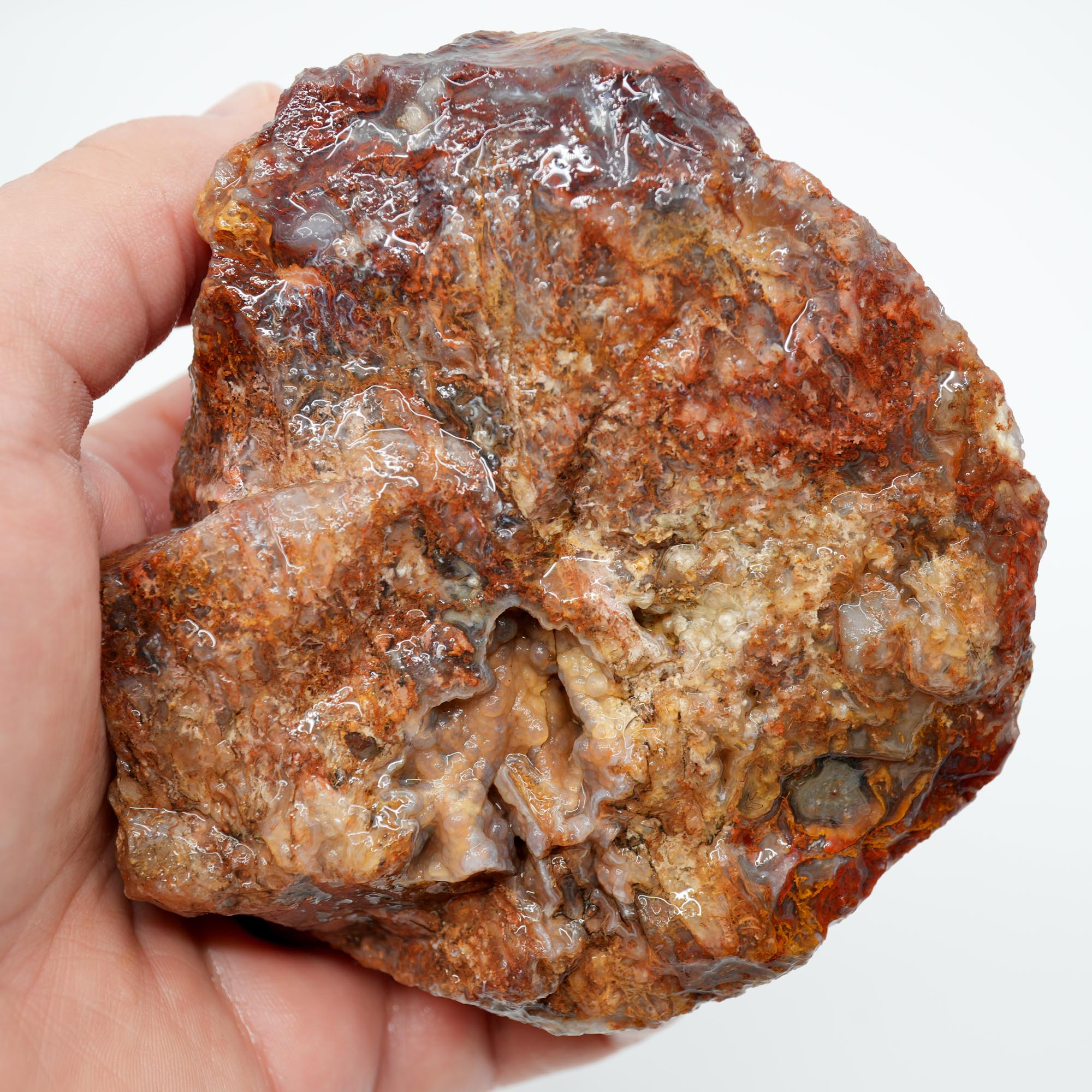 San Carlos Agate Rough - Bright Red Orange Moss with Blue Ice Botryoidal