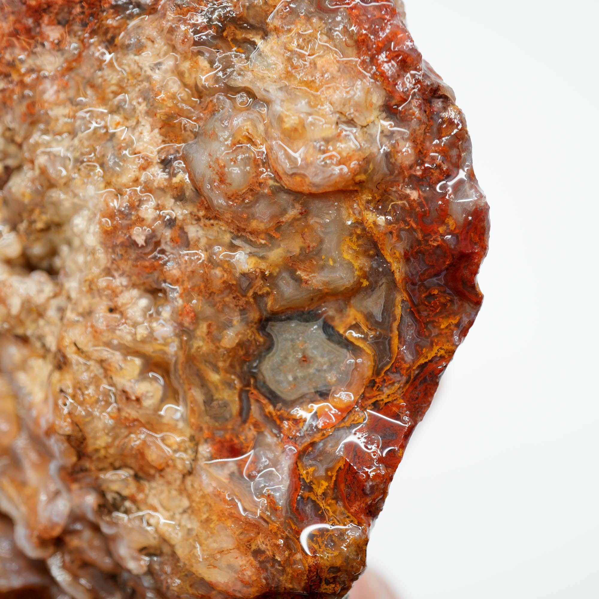 San Carlos Agate Rough - Bright Red Orange Moss with Blue Ice Botryoidal