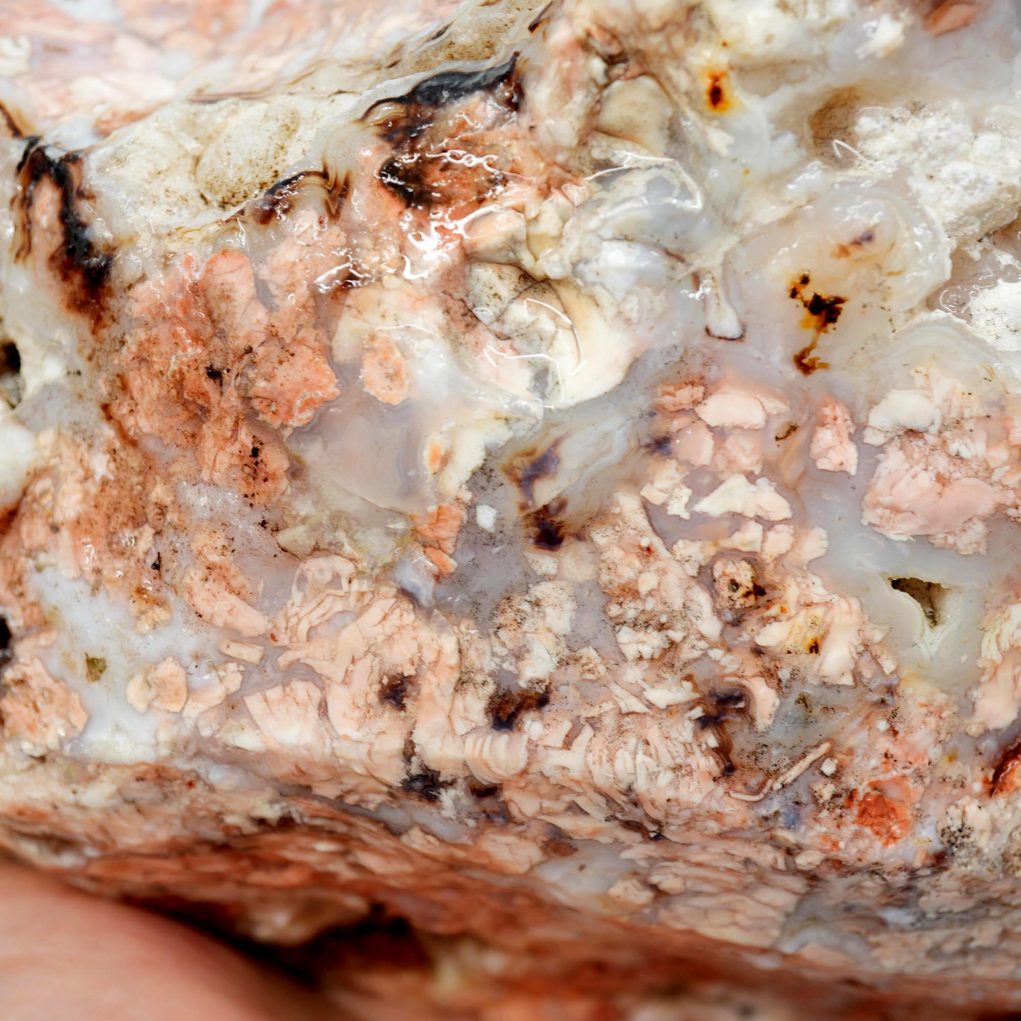 Cotton Candy Agate Rough - Large High-Grade Cutter with Grape Druzy and Breccia