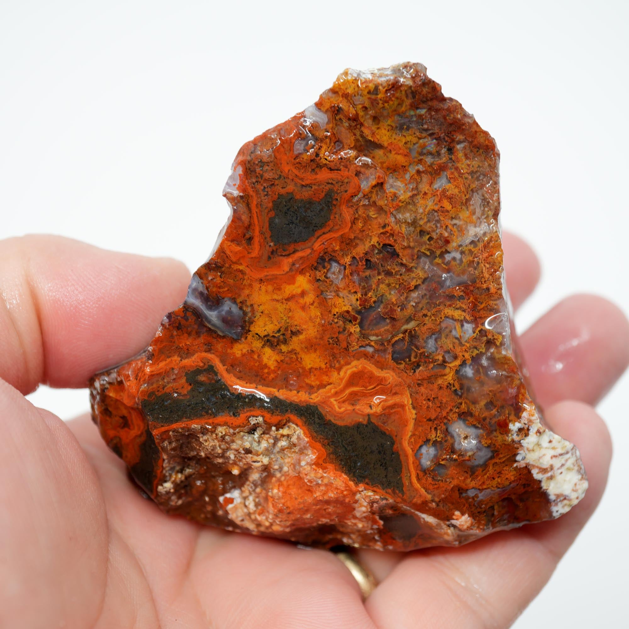 San Carlos Agate Rough - Rare Deep Black with Orange Lace Structures