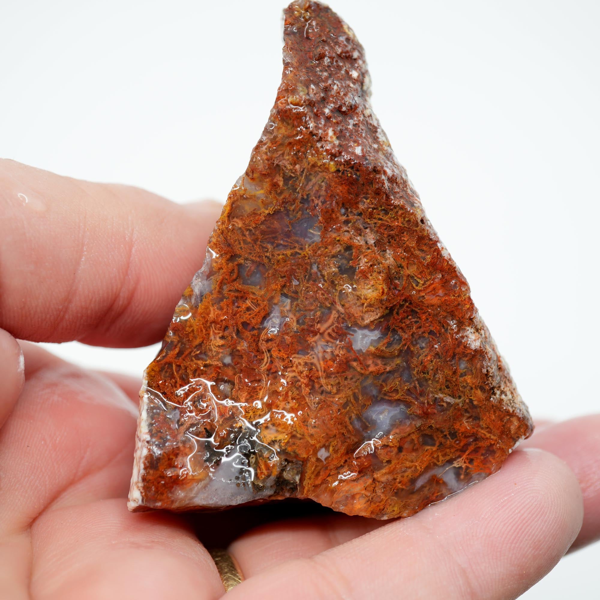 San Carlos Agate Rough - Rare Deep Black with Orange Lace Structures