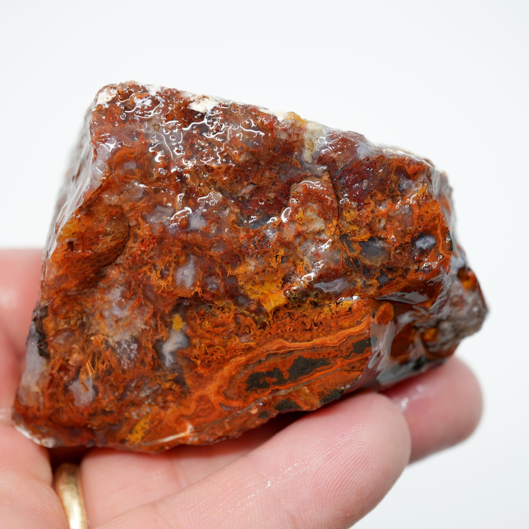 San Carlos Agate Rough - Rare Deep Black with Orange Lace Structures