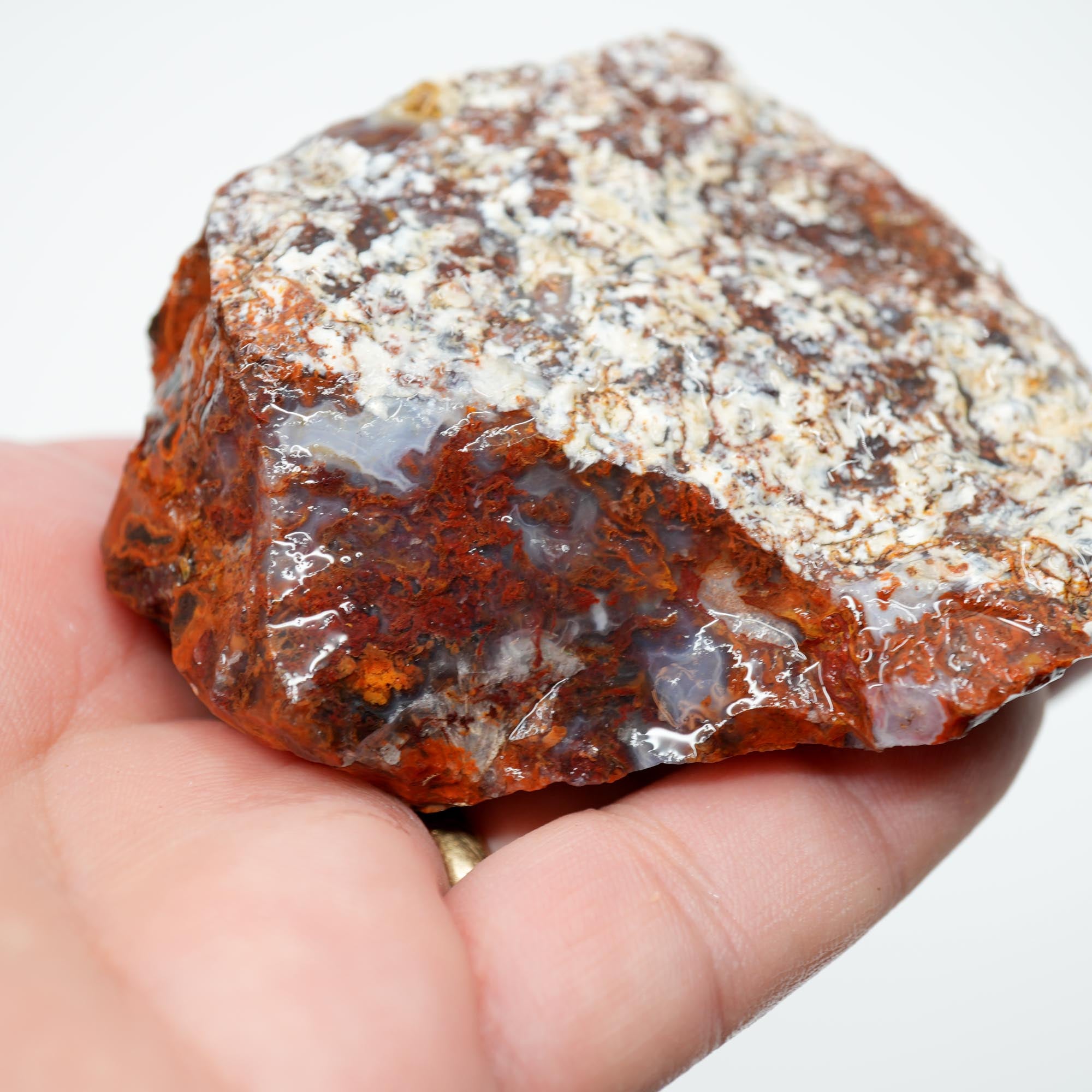 San Carlos Agate Rough - Rare Deep Black with Orange Lace Structures