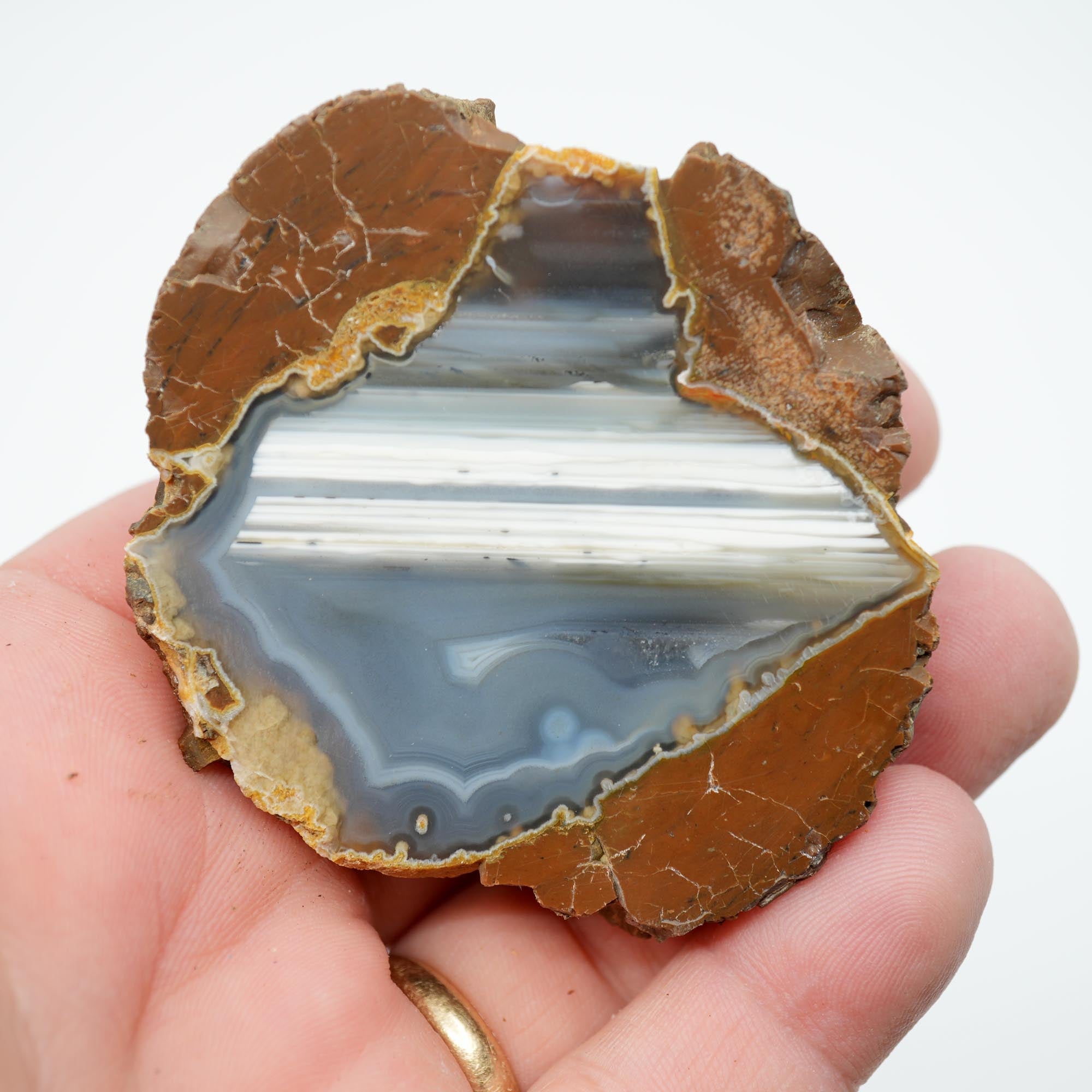 Polished Priday Thunderegg - Old Stock Waterline Cut by an Old Timer