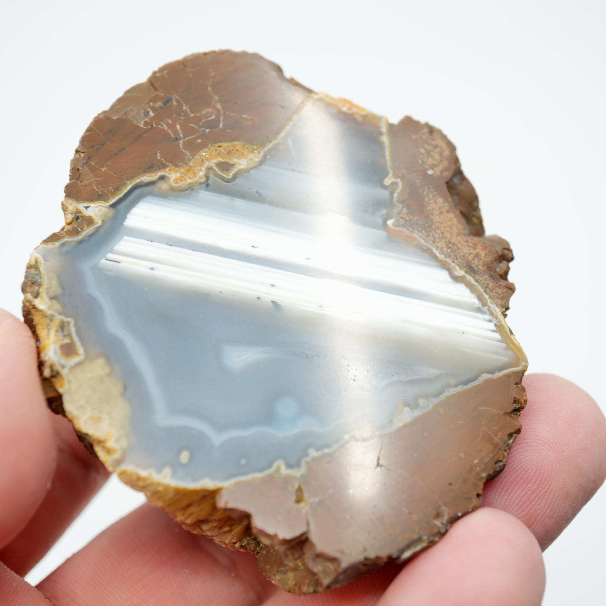 Polished Priday Thunderegg - Old Stock Waterline Cut by an Old Timer