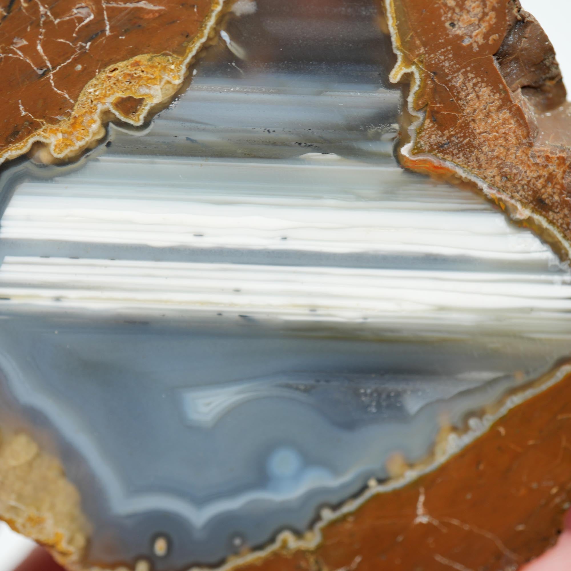 Polished Priday Thunderegg - Old Stock Waterline Cut by an Old Timer
