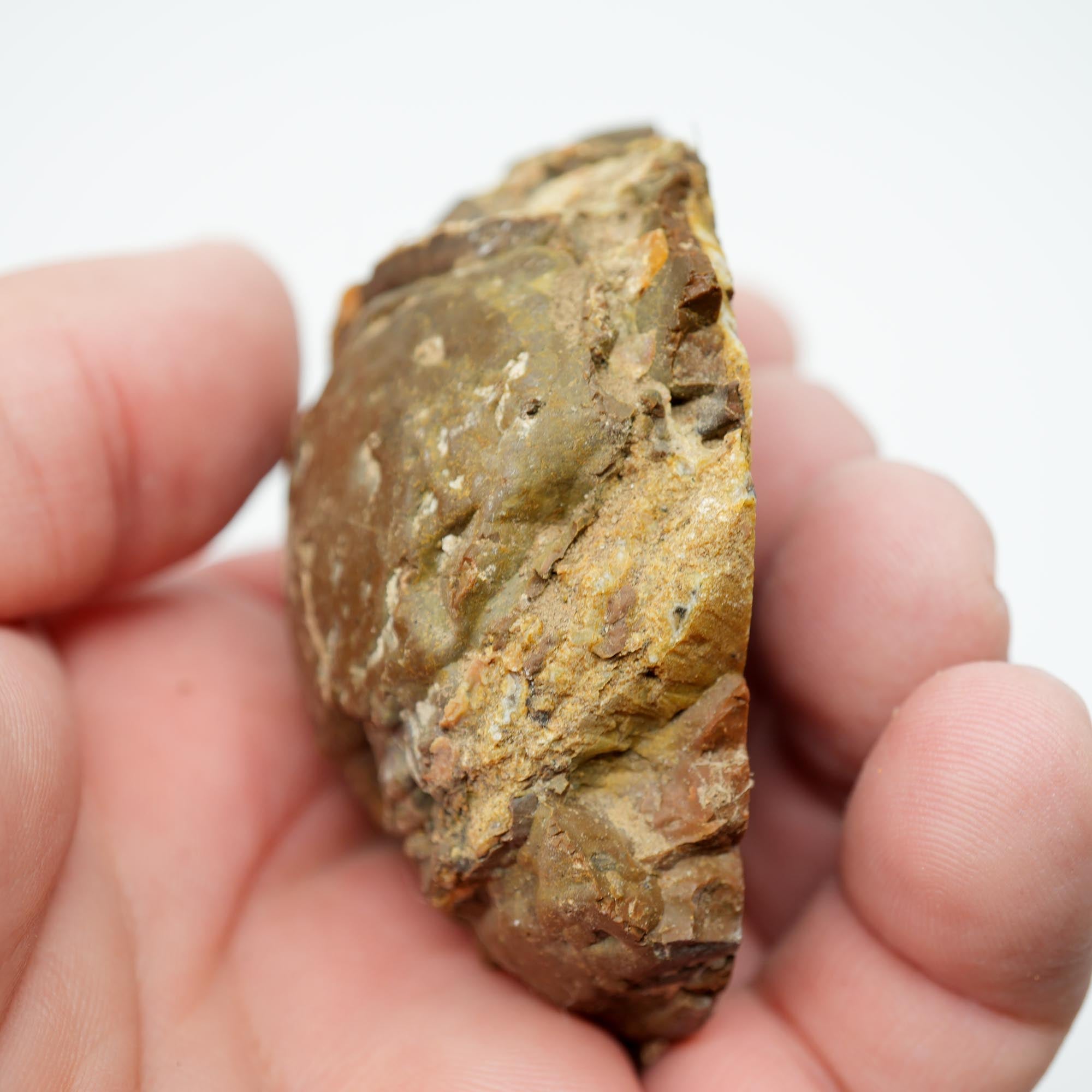 Polished Priday Thunderegg - Old Stock Waterline Cut by an Old Timer