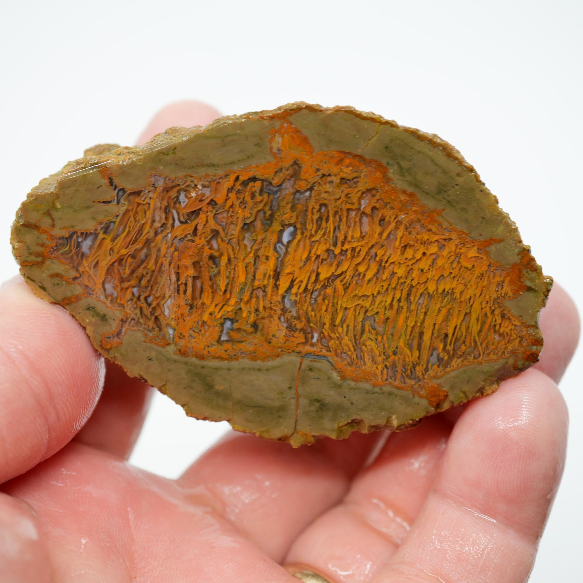 Priday Moss Bed Thunderegg Cut and Proven - Bright Orange Stick Moss
