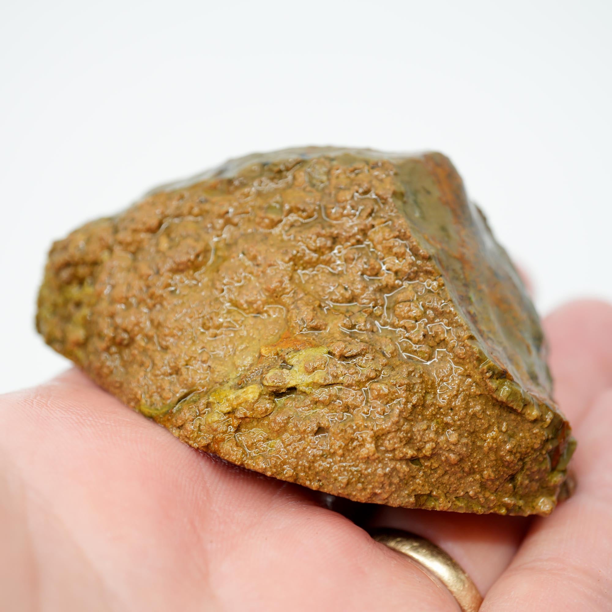 Priday Moss Bed Thunderegg Cut and Proven - Bright Orange Stick Moss