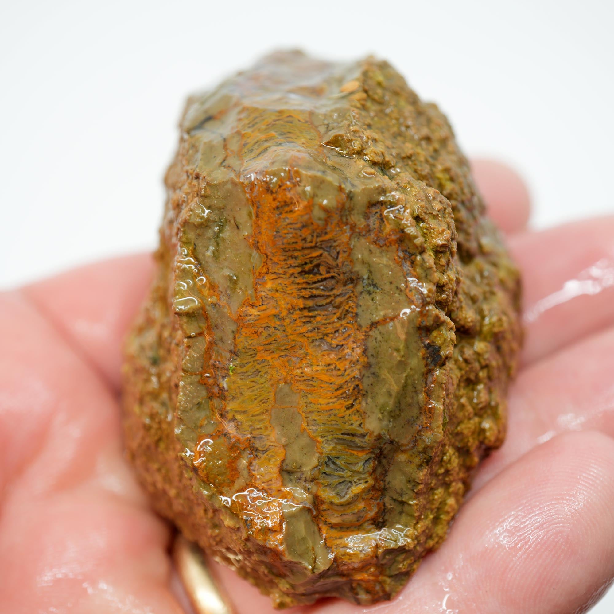 Priday Moss Bed Thunderegg Cut and Proven - Bright Orange Stick Moss