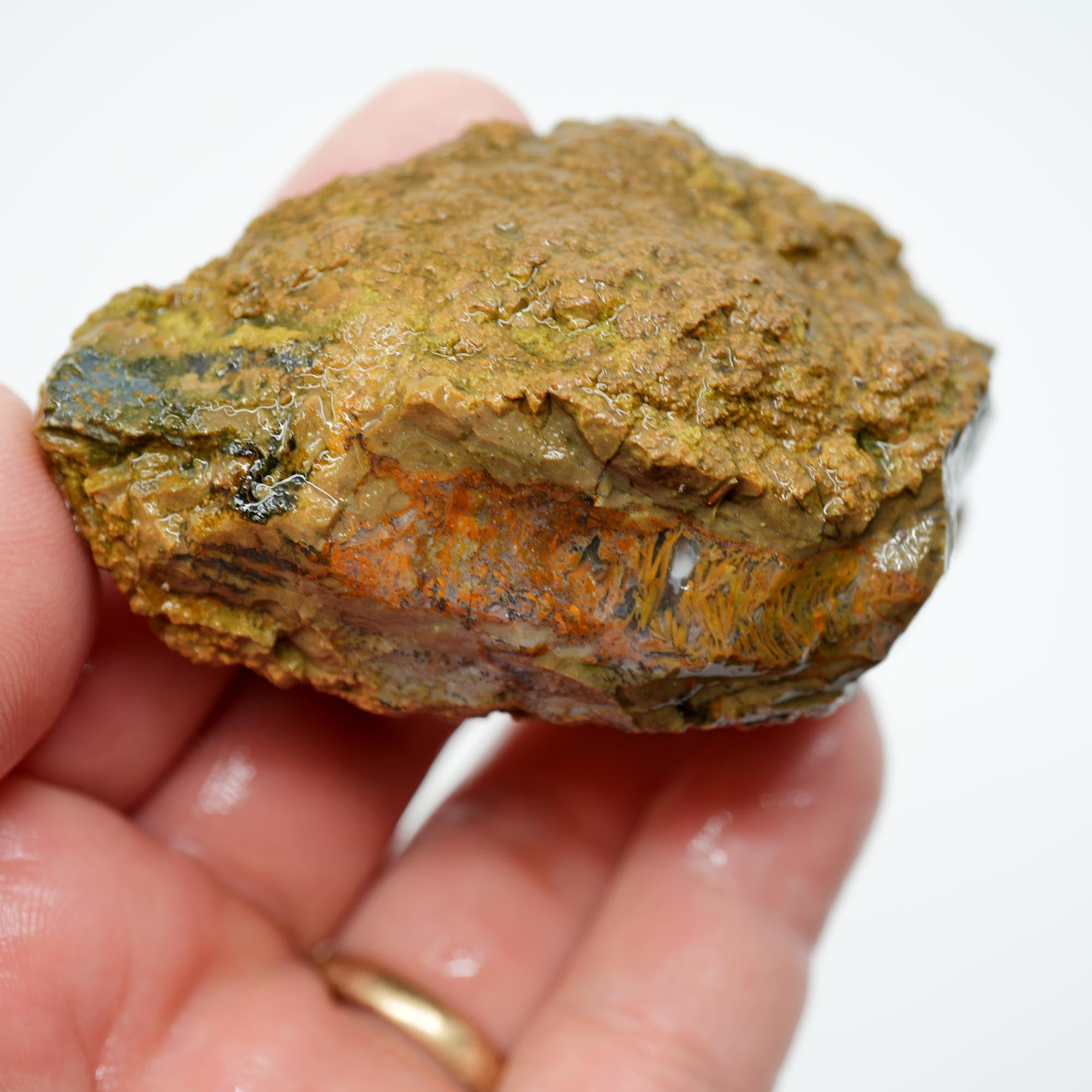 Priday Moss Bed Thunderegg Cut and Proven - Bright Orange Stick Moss