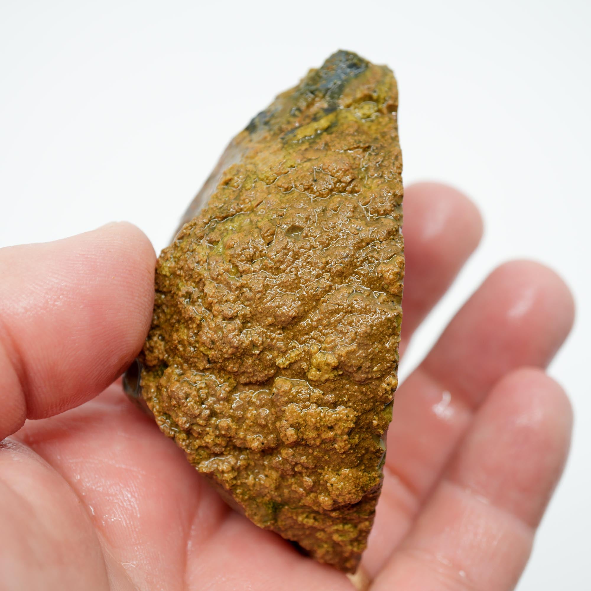 Priday Moss Bed Thunderegg Cut and Proven - Bright Orange Stick Moss