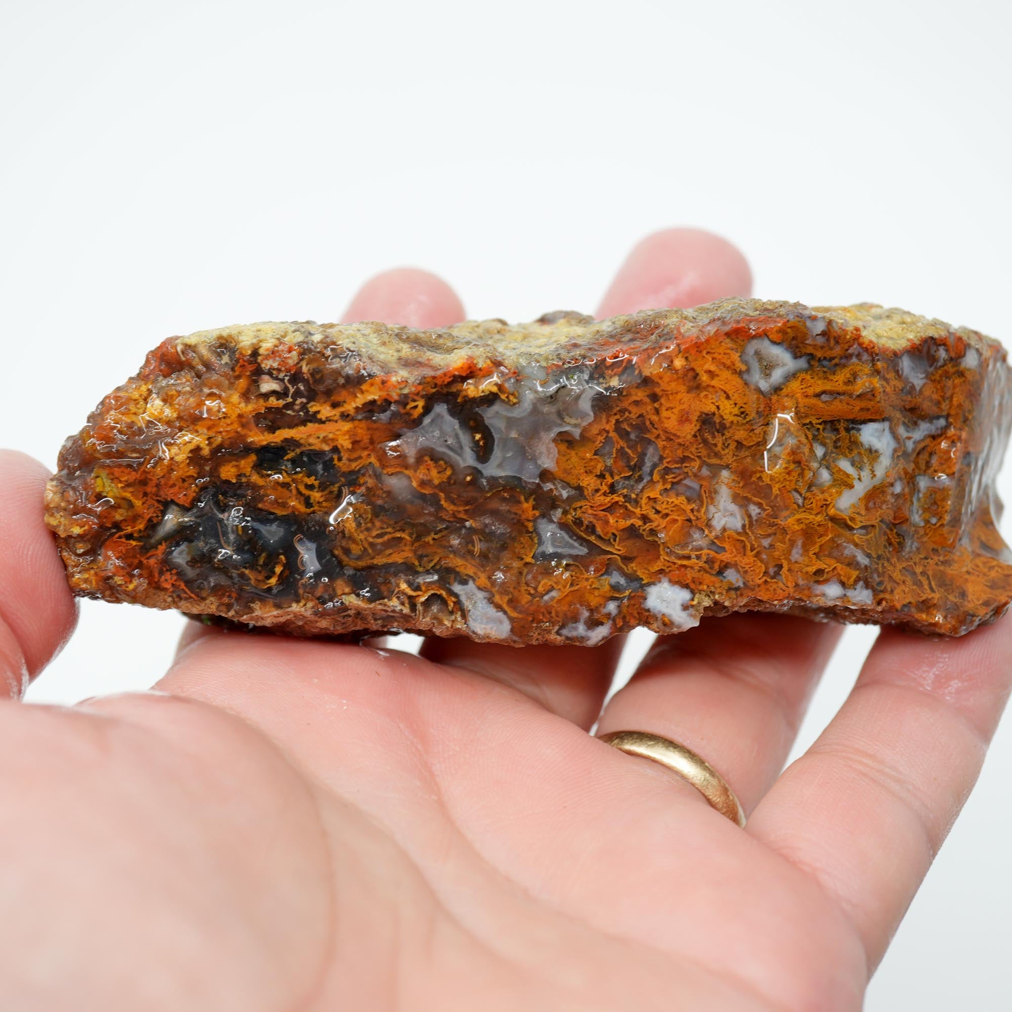 San Carlos Agate Rough - Bright Green Moss Plate with Darker Back