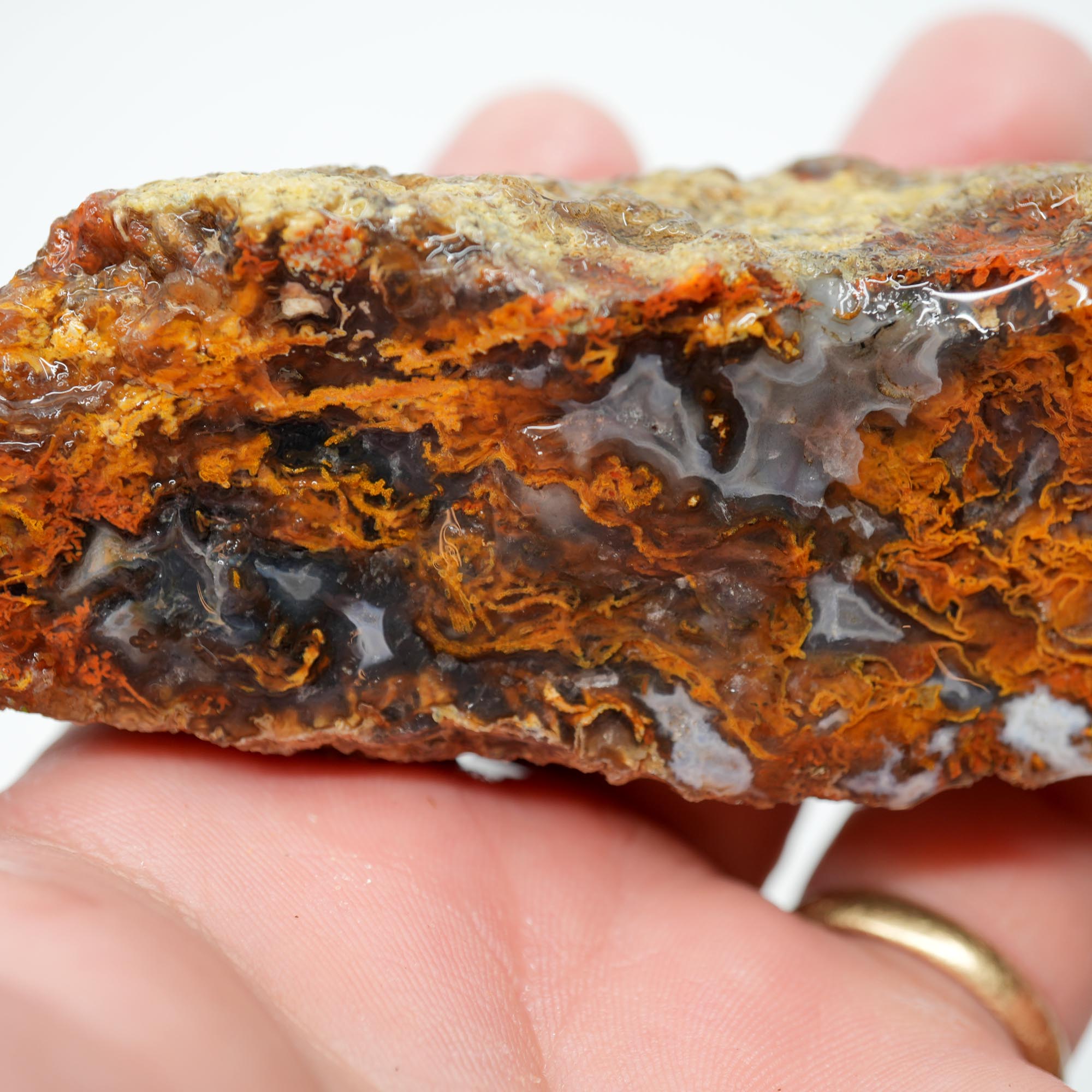 San Carlos Agate Rough - Bright Green Moss Plate with Darker Back