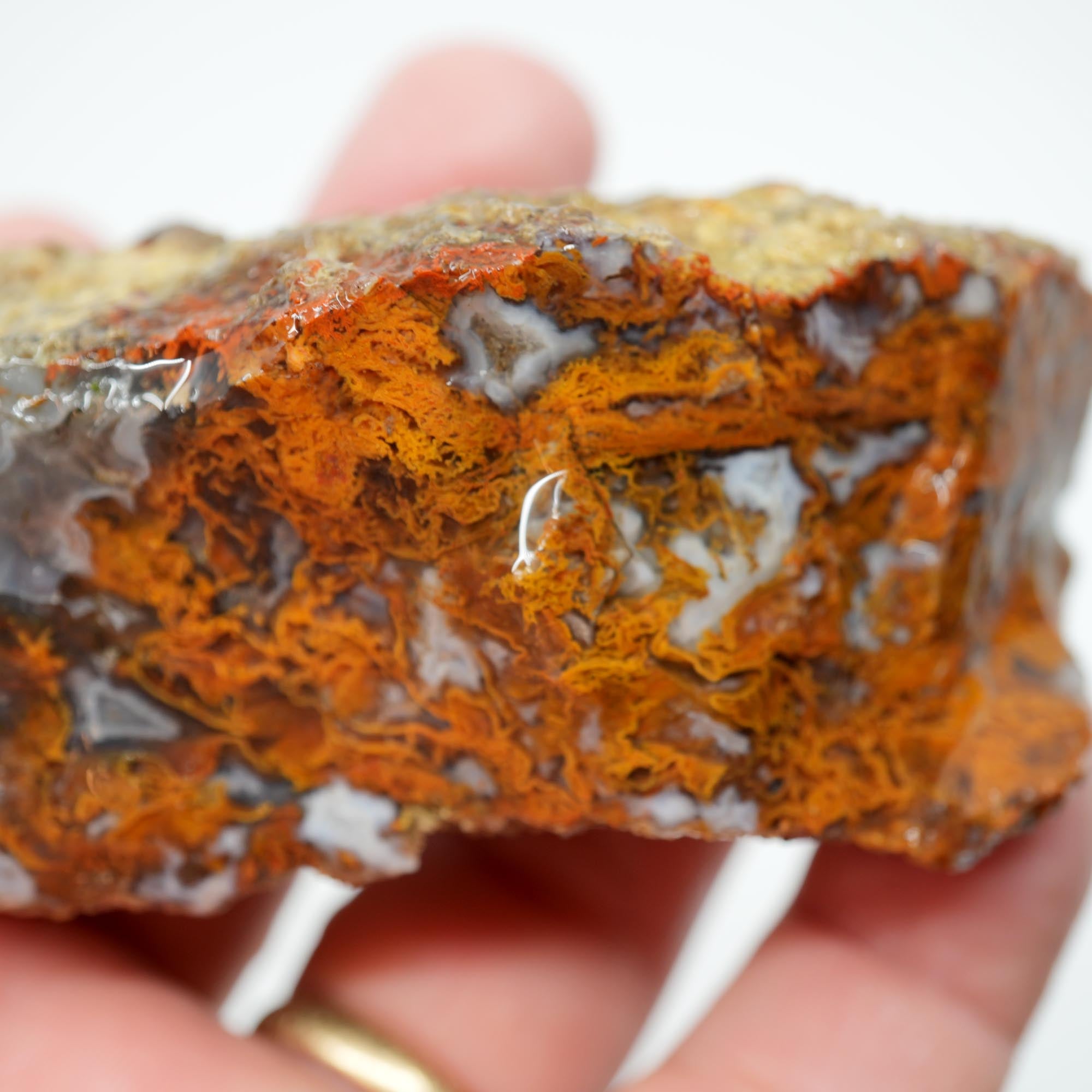 San Carlos Agate Rough - Bright Green Moss Plate with Darker Back