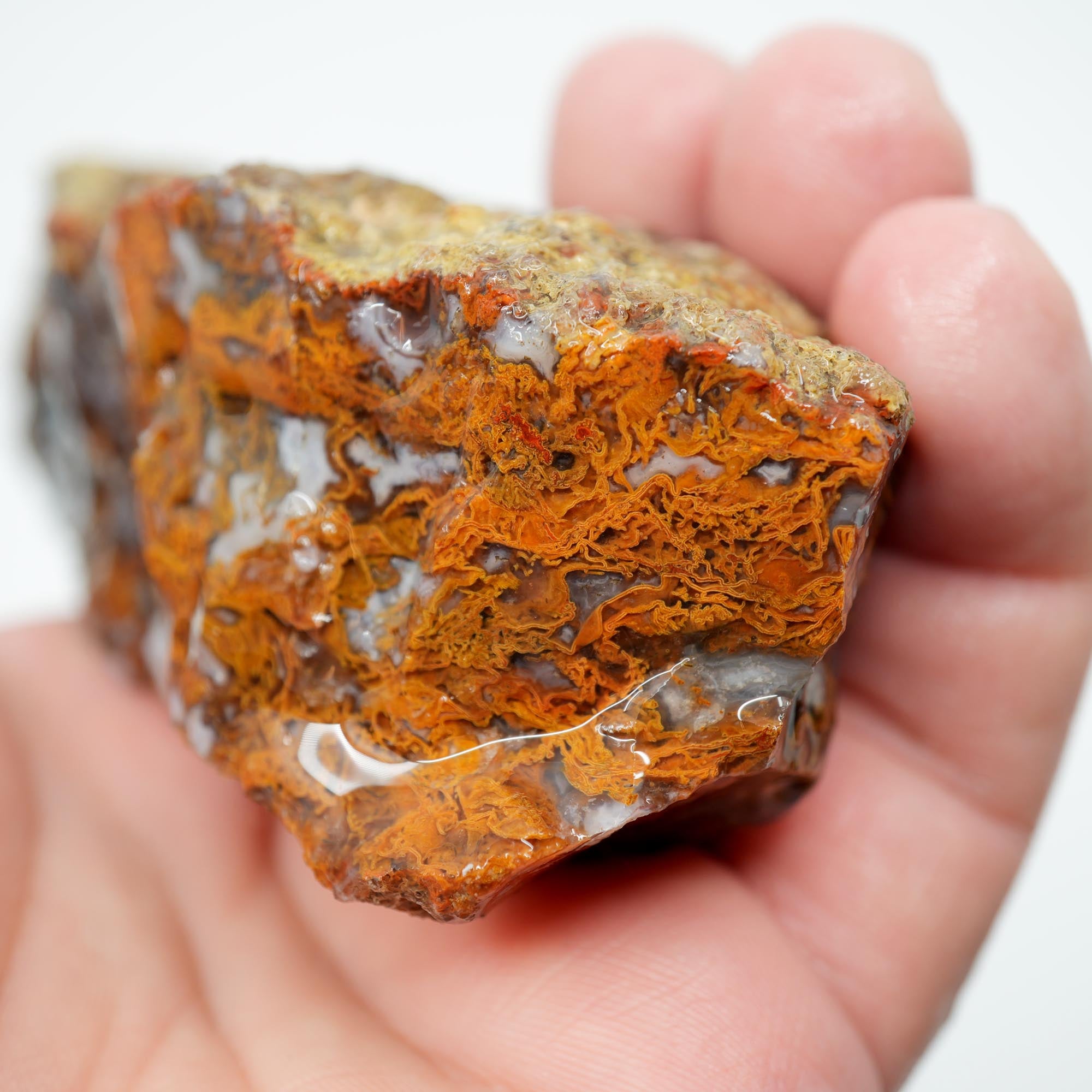 San Carlos Agate Rough - Bright Green Moss Plate with Darker Back