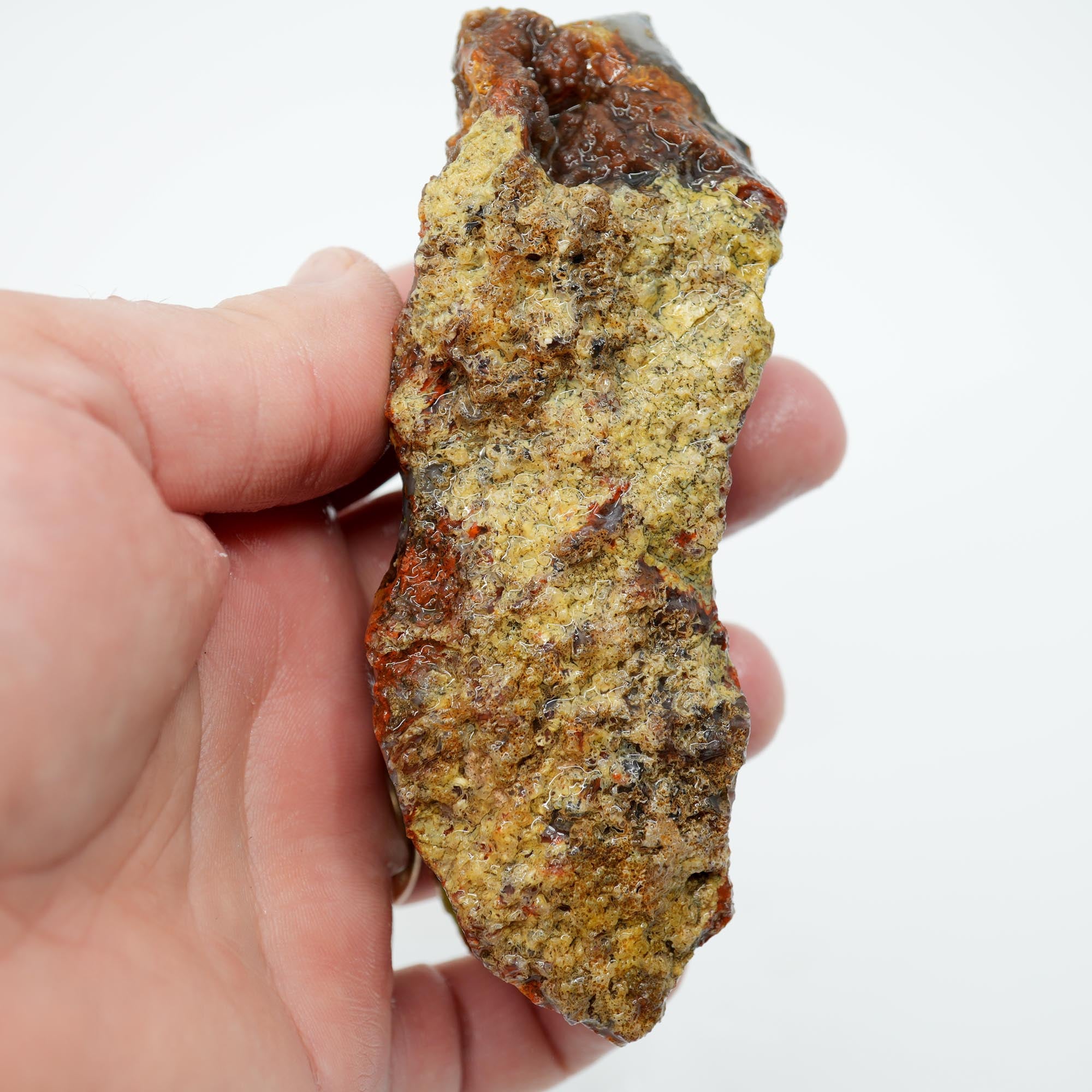 San Carlos Agate Rough - Bright Green Moss Plate with Darker Back