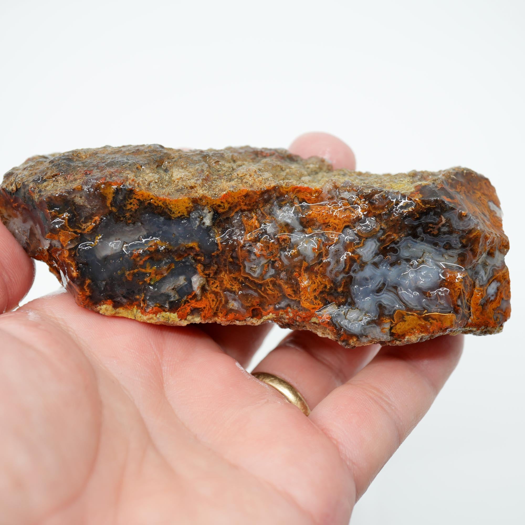San Carlos Agate Rough - Bright Green Moss Plate with Darker Back