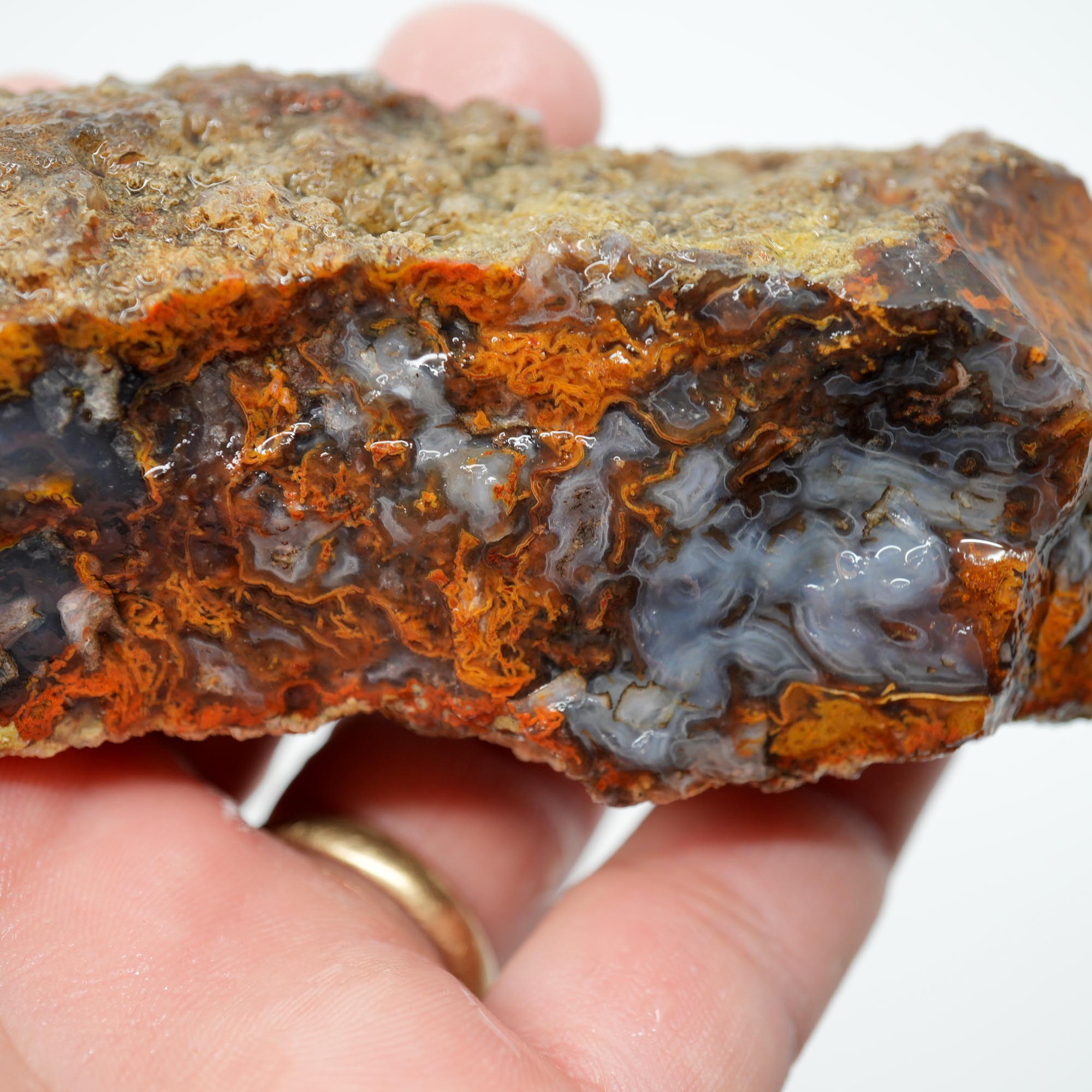 San Carlos Agate Rough - Bright Green Moss Plate with Darker Back