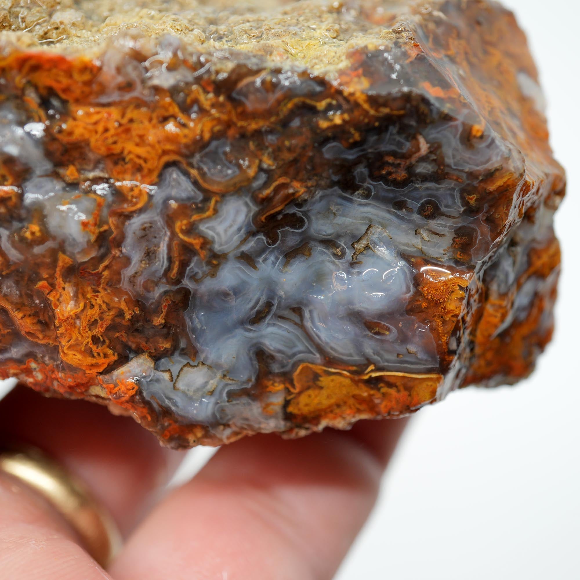 San Carlos Agate Rough - Bright Green Moss Plate with Darker Back