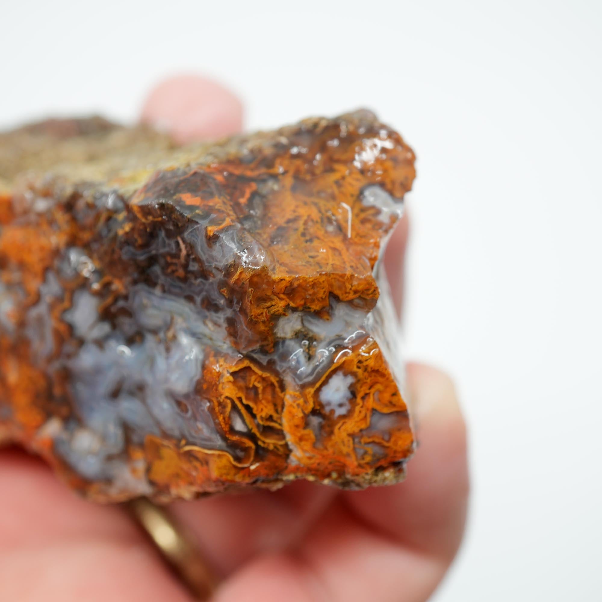 San Carlos Agate Rough - Bright Green Moss Plate with Darker Back