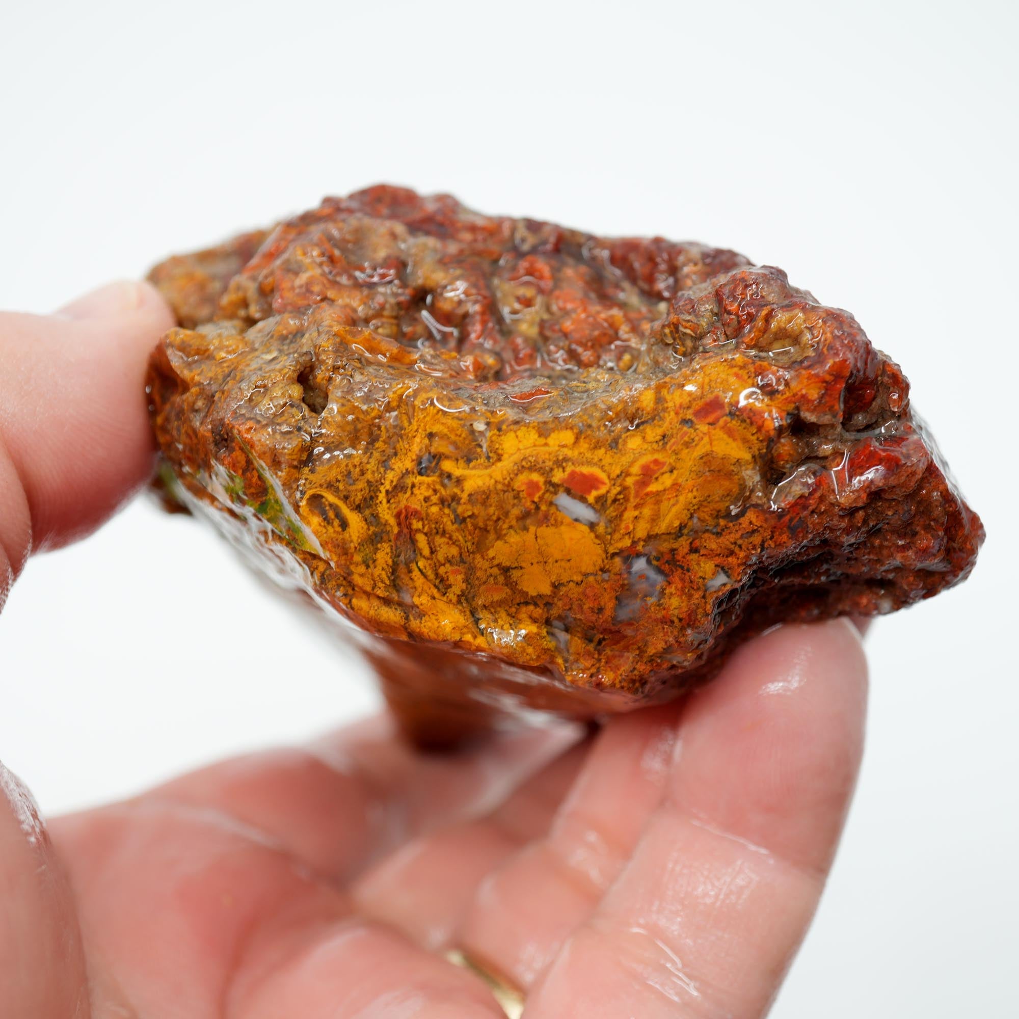 San Carlos Agate Rough - Light Golden Moss with Plume-Like Structures