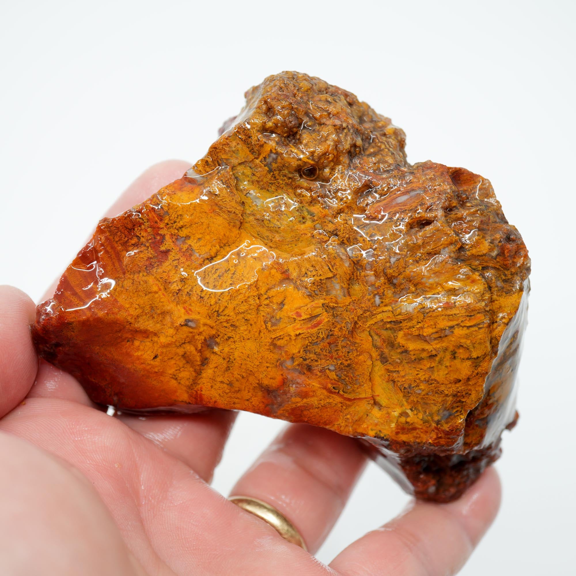 San Carlos Agate Rough - Light Golden Moss with Plume-Like Structures