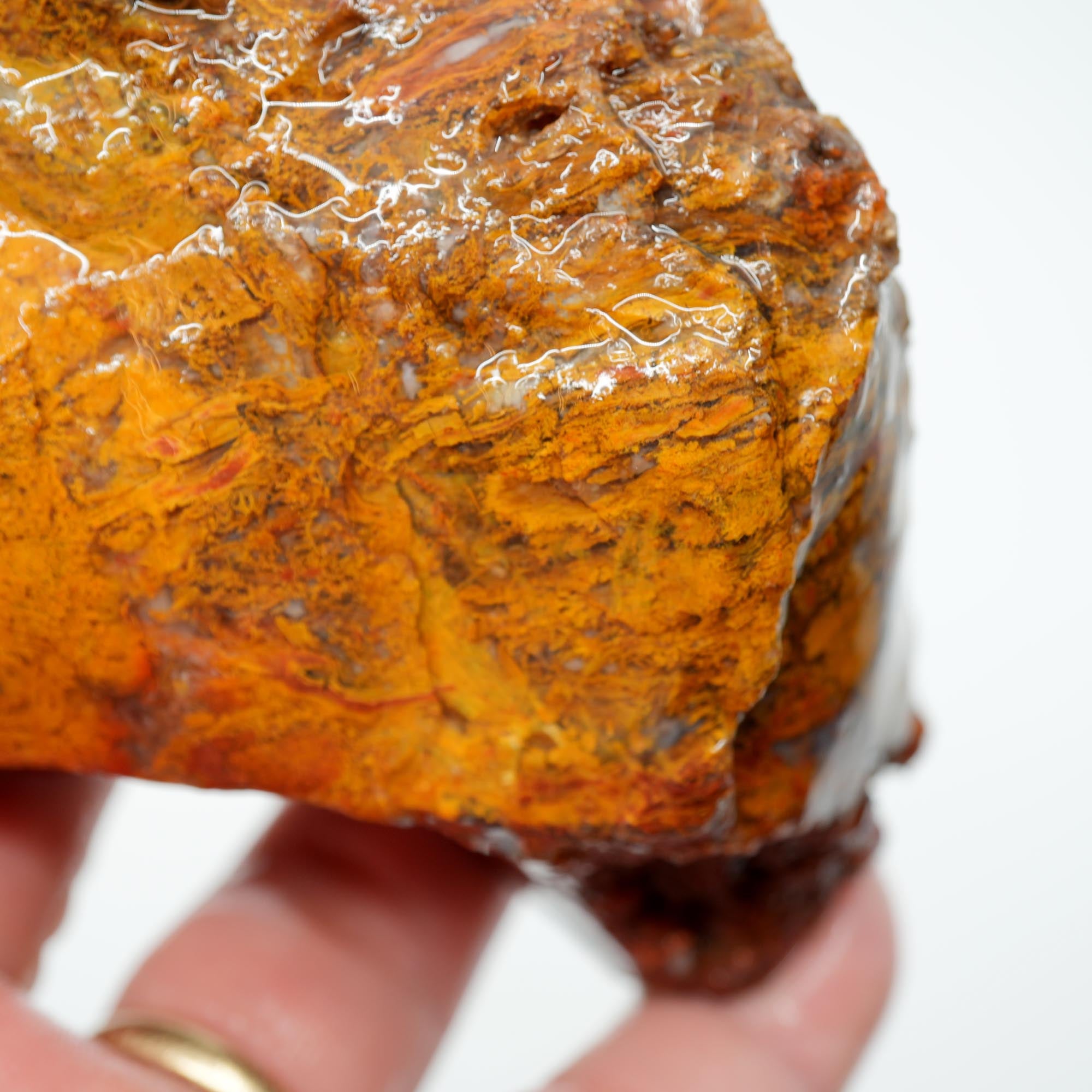 San Carlos Agate Rough - Light Golden Moss with Plume-Like Structures