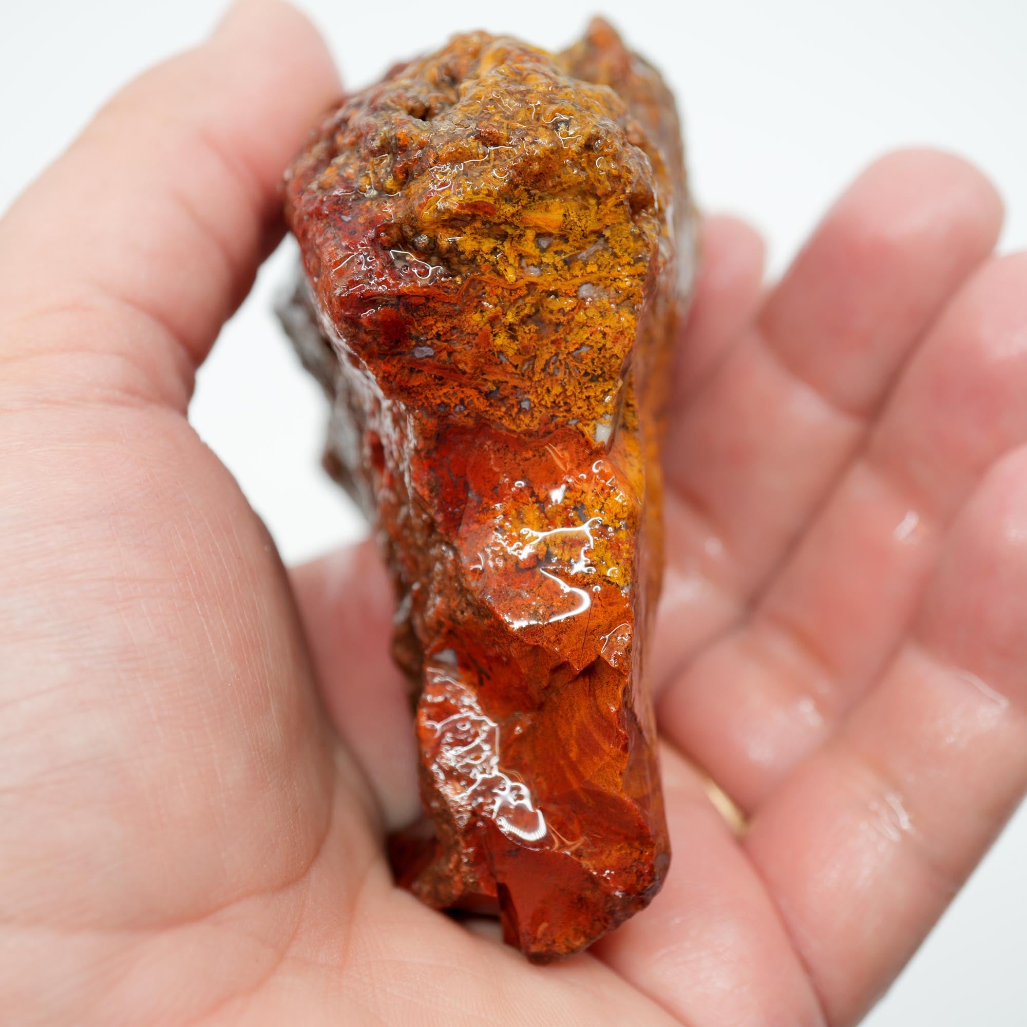 San Carlos Agate Rough - Light Golden Moss with Plume-Like Structures
