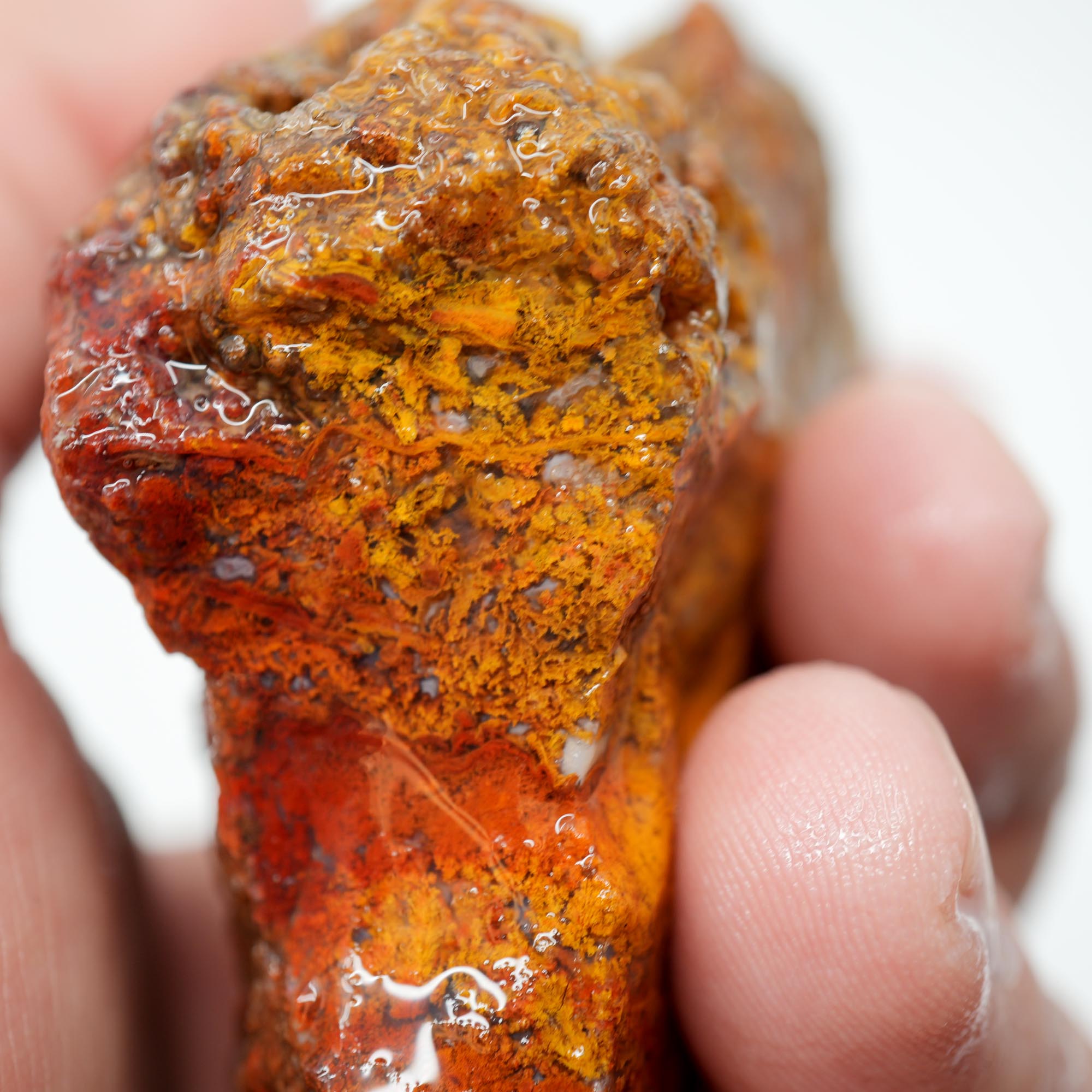 San Carlos Agate Rough - Light Golden Moss with Plume-Like Structures