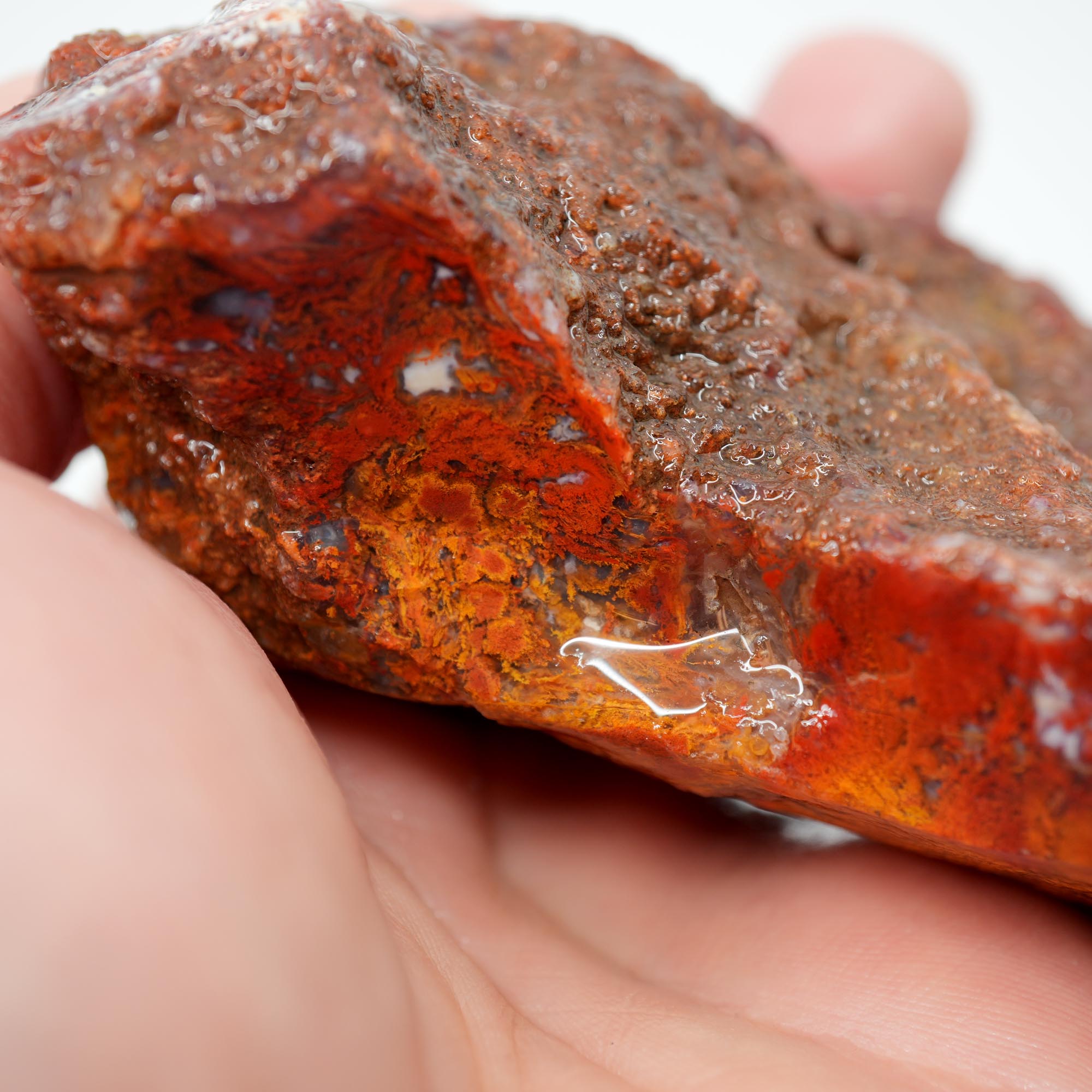 San Carlos Agate Rough - Light Golden Moss with Plume-Like Structures