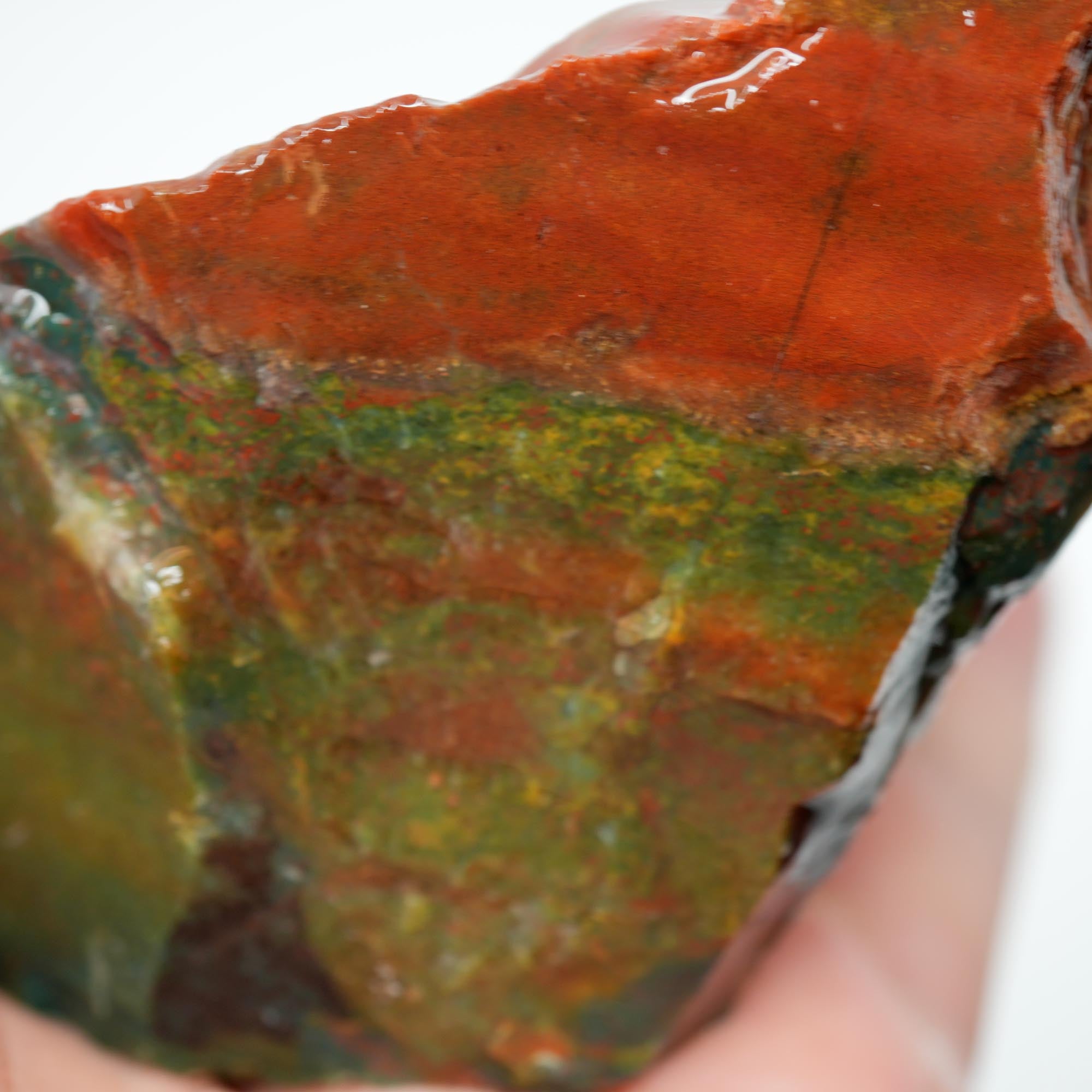 India Bloodstone Rough - Bright Green with Red Jasper Solid Cutter