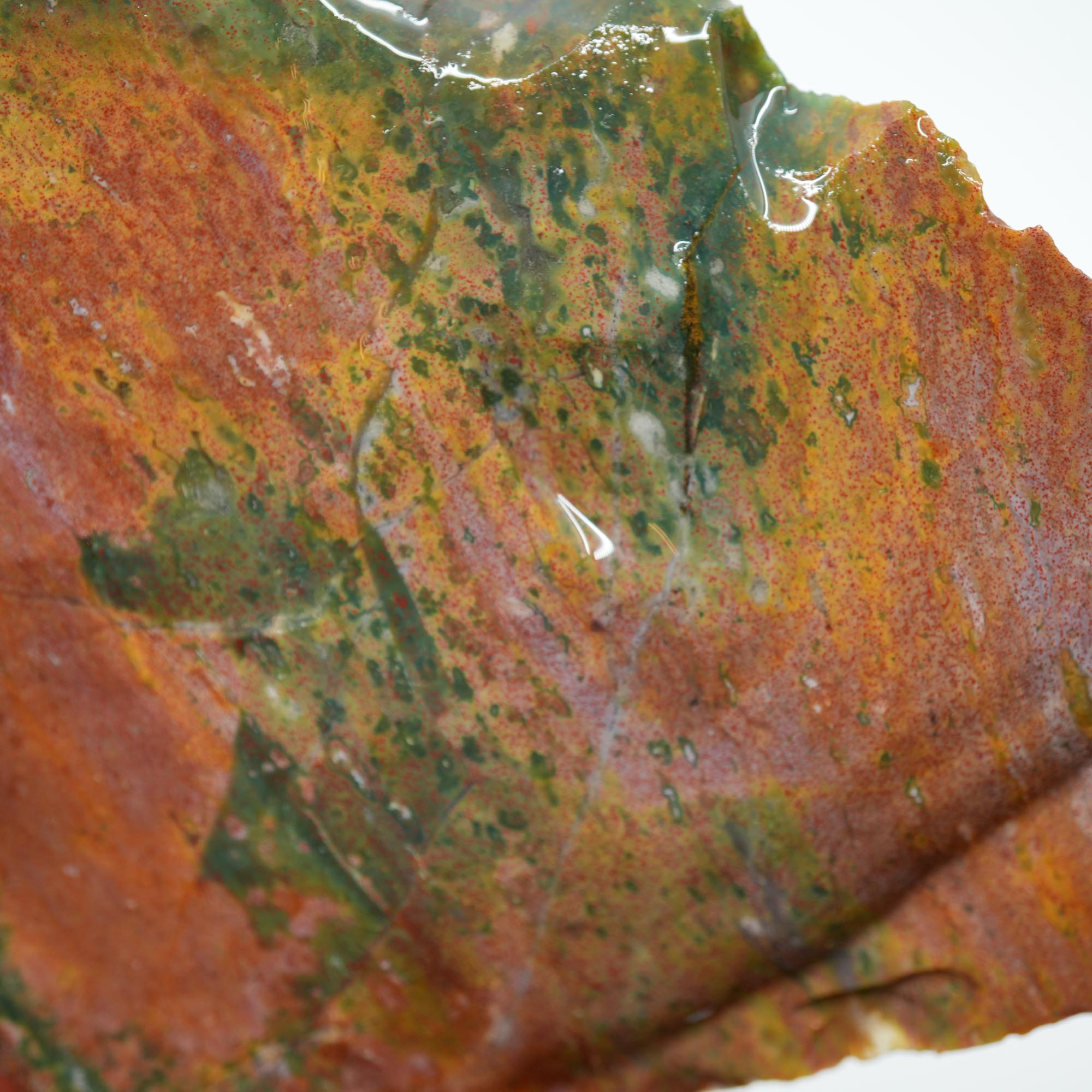India Bloodstone Rough - Bright Green with Red Jasper Solid Cutter