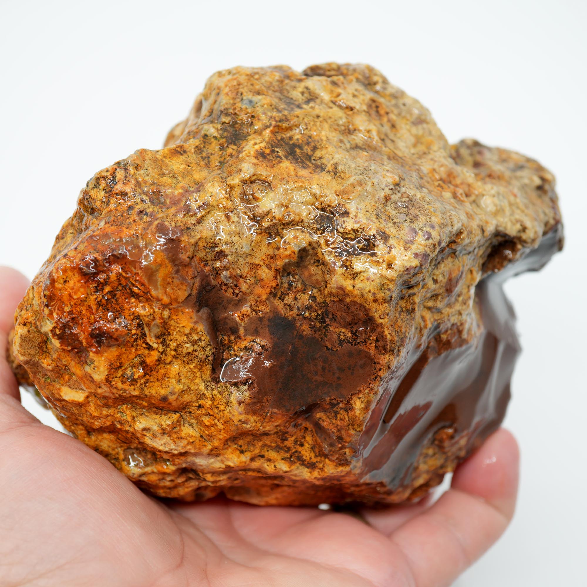 White Fir Springs Thunderegg Rough - Old Stock Chocolate Coloration