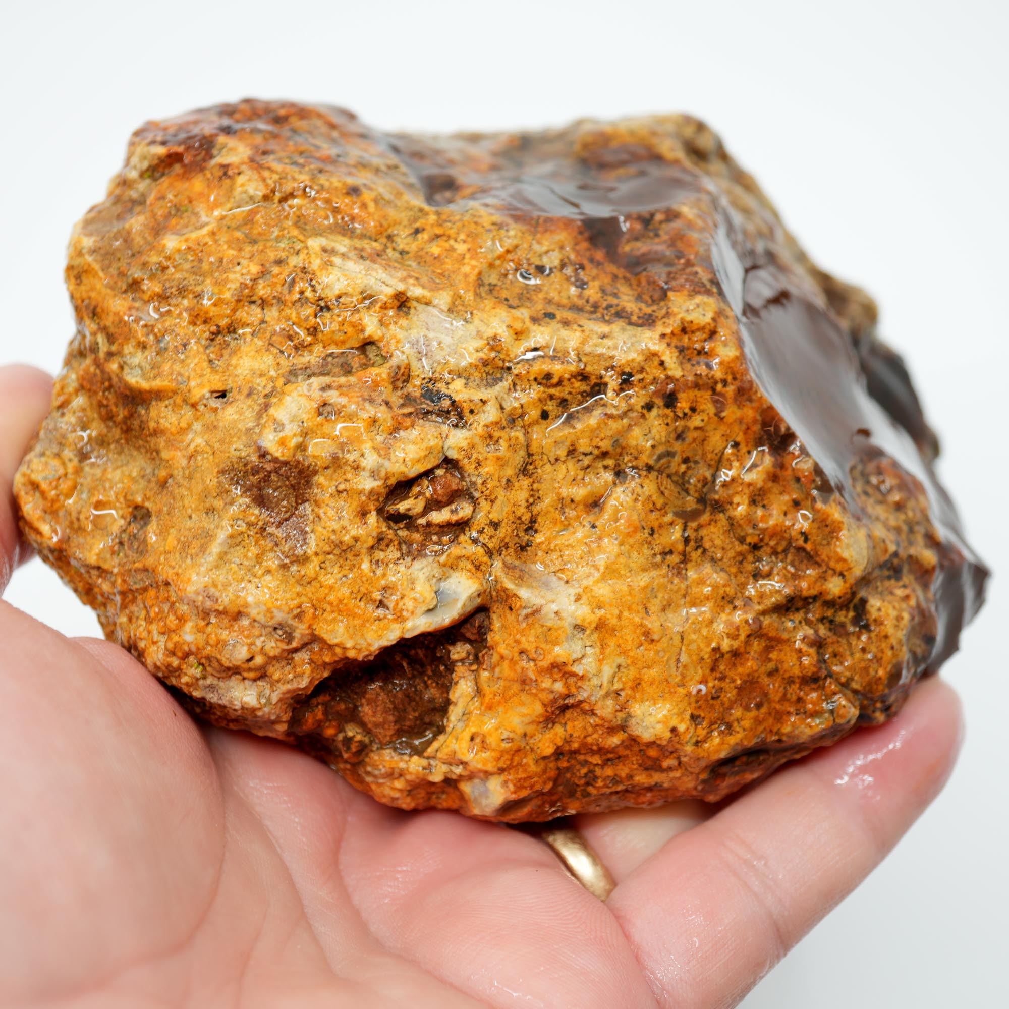 White Fir Springs Thunderegg Rough - Old Stock Chocolate Coloration