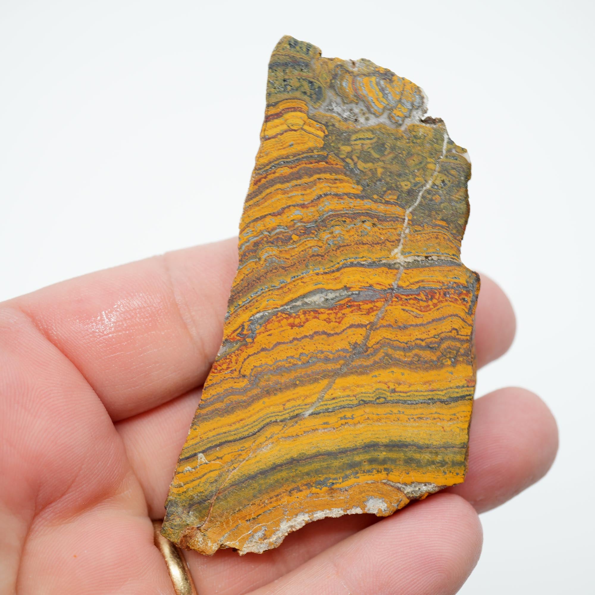 Apple Valley Jasper Endcut - Wavy Stromatolite Pattern Sahara