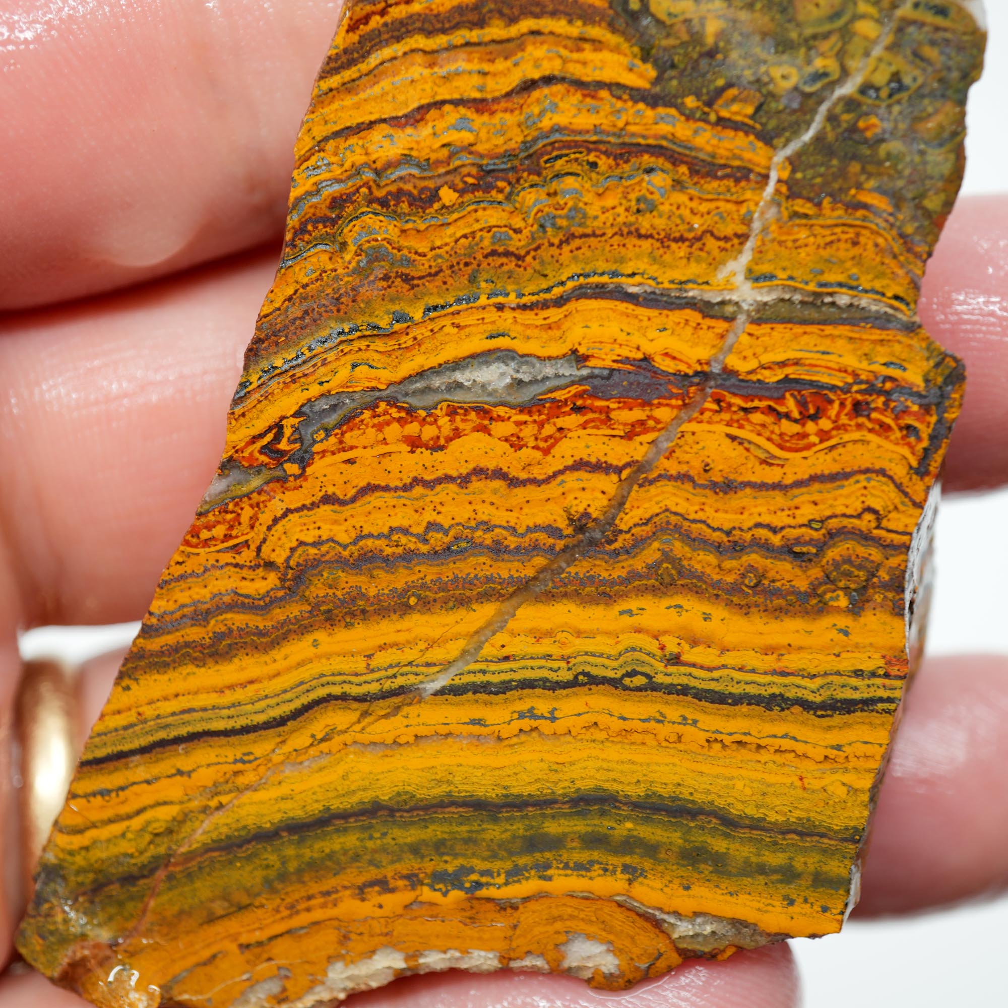 Apple Valley Jasper Endcut - Wavy Stromatolite Pattern Sahara