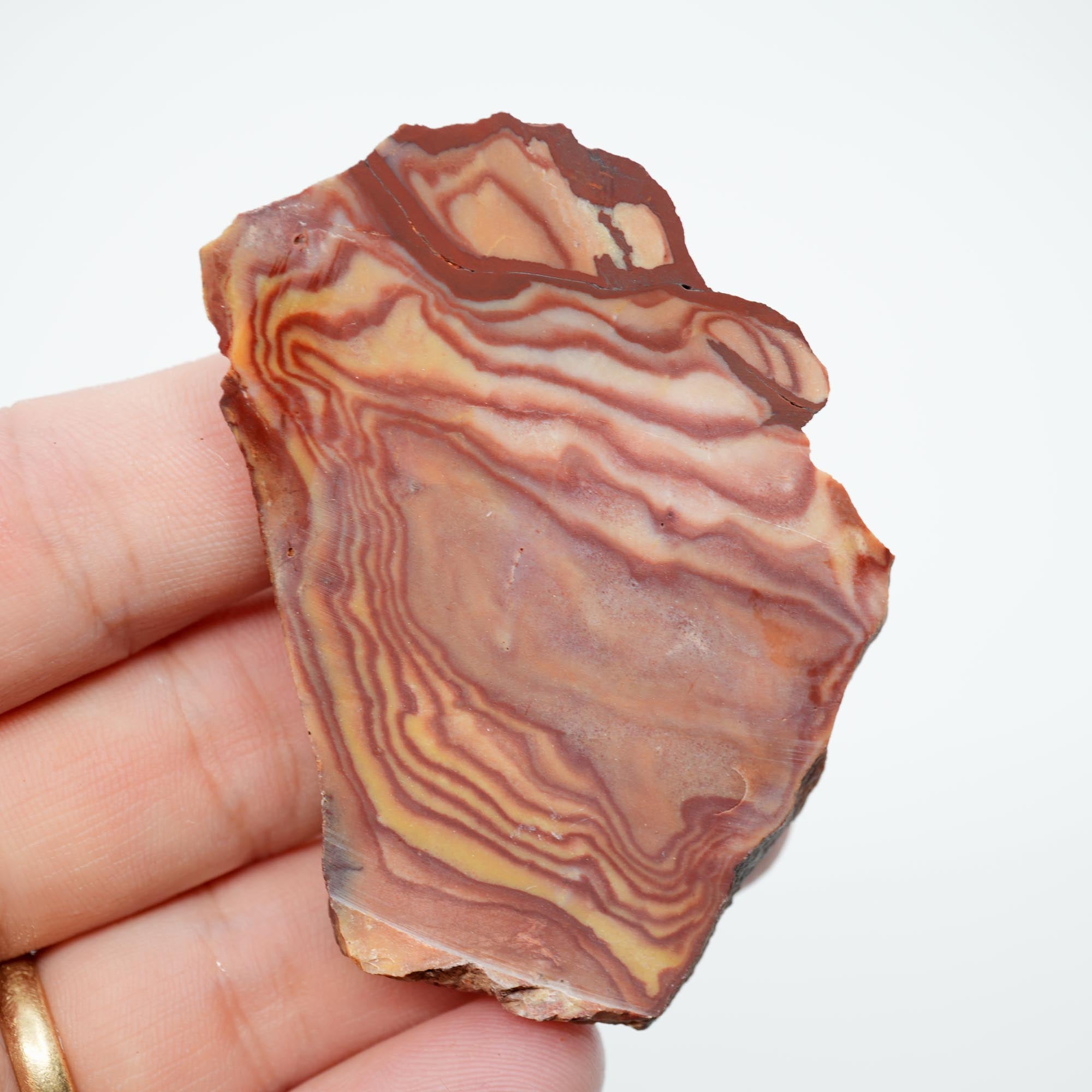 Nevada Wonderstone Endcut - High-Grade Wavy Pattern Dome Cab Piece