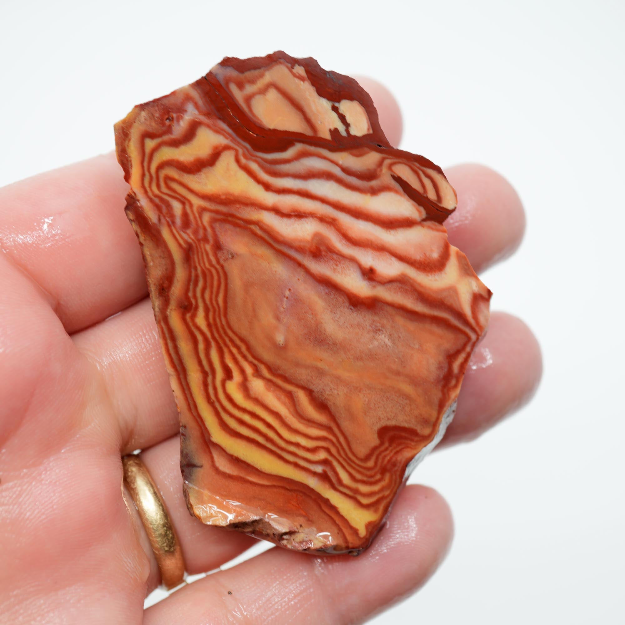 Nevada Wonderstone Endcut - High-Grade Wavy Pattern Dome Cab Piece