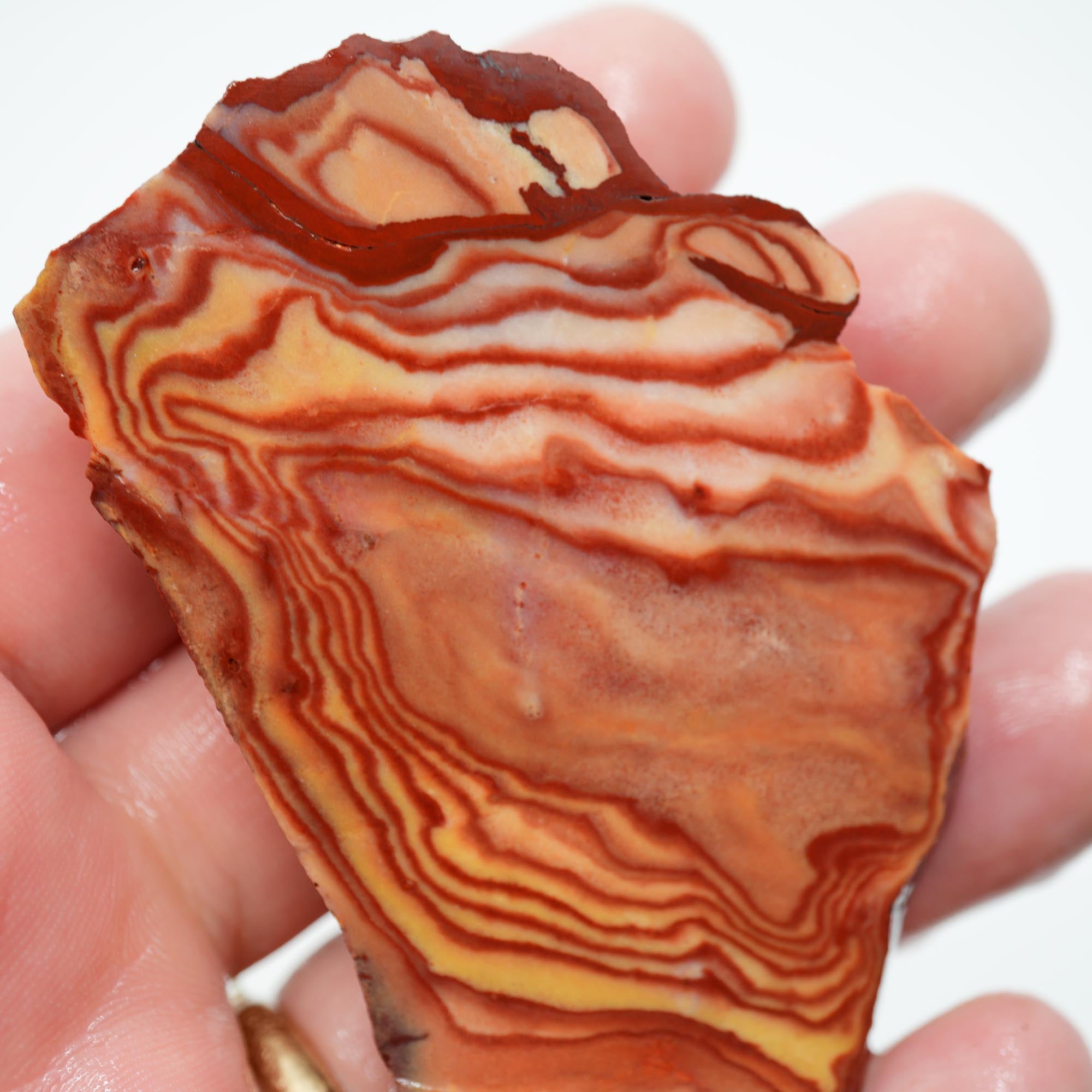 Nevada Wonderstone Endcut - High-Grade Wavy Pattern Dome Cab Piece