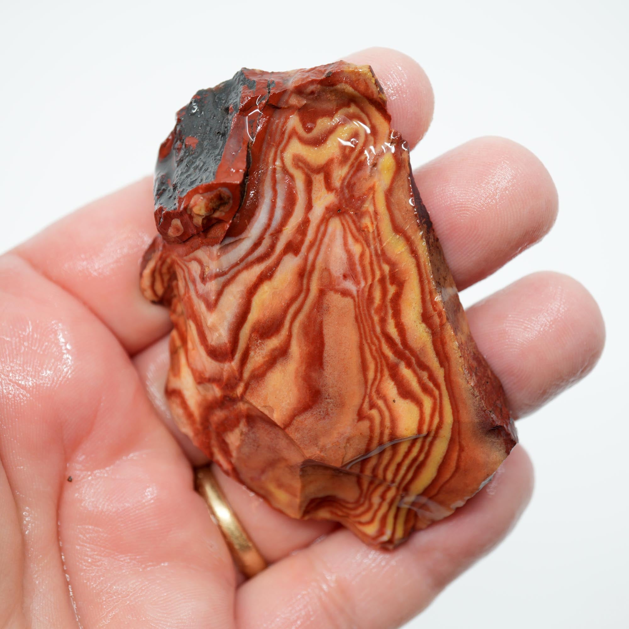 Nevada Wonderstone Endcut - High-Grade Wavy Pattern Dome Cab Piece