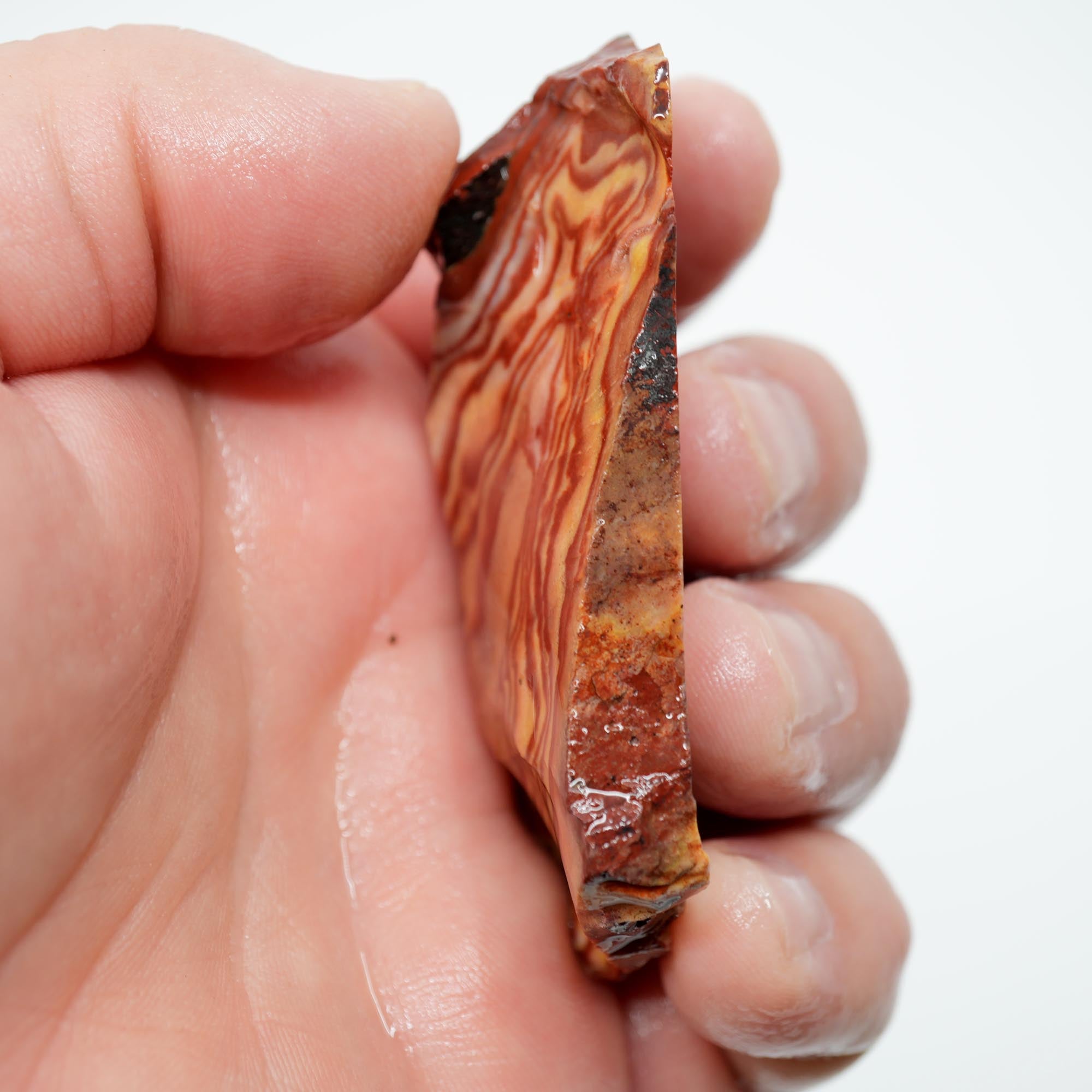 Nevada Wonderstone Endcut - High-Grade Wavy Pattern Dome Cab Piece