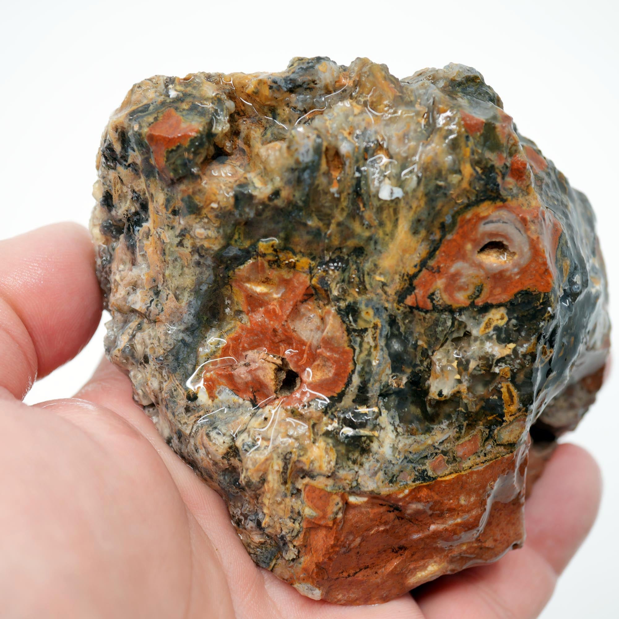 Eagle Rock Plume Agate Rough - Black Marcasite Plume Red Rhyolite Quant Collection