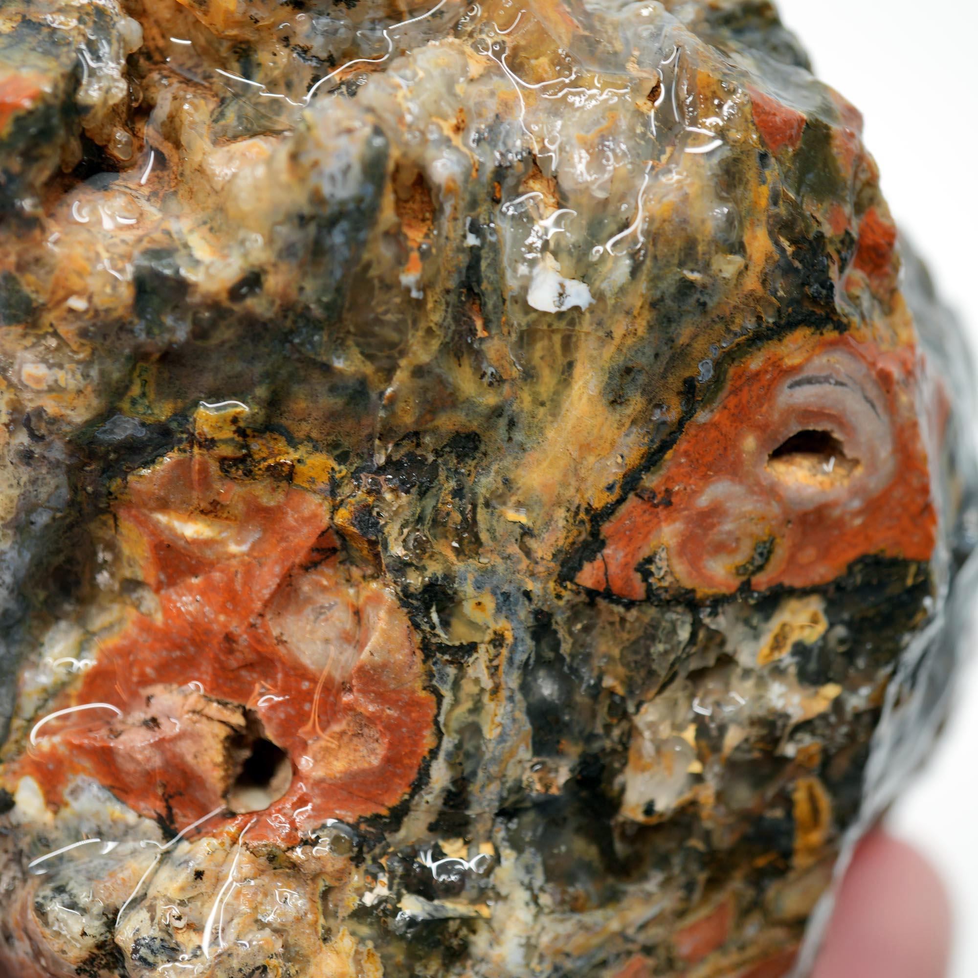 Eagle Rock Plume Agate Rough - Black Marcasite Plume Red Rhyolite Quant Collection