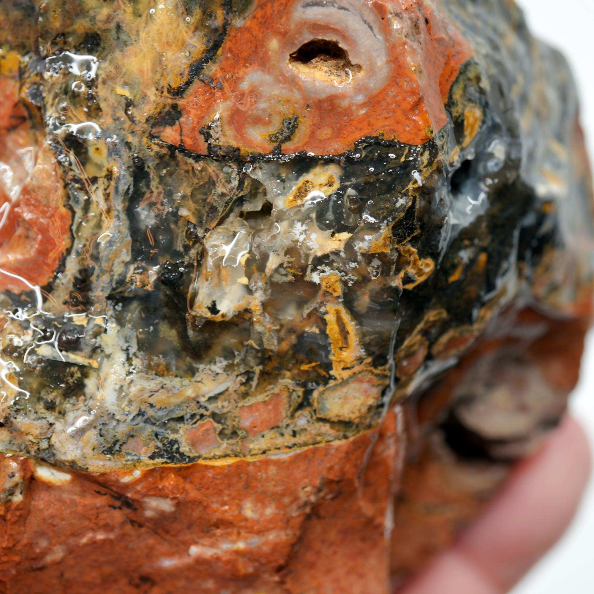 Eagle Rock Plume Agate Rough - Black Marcasite Plume Red Rhyolite Quant Collection