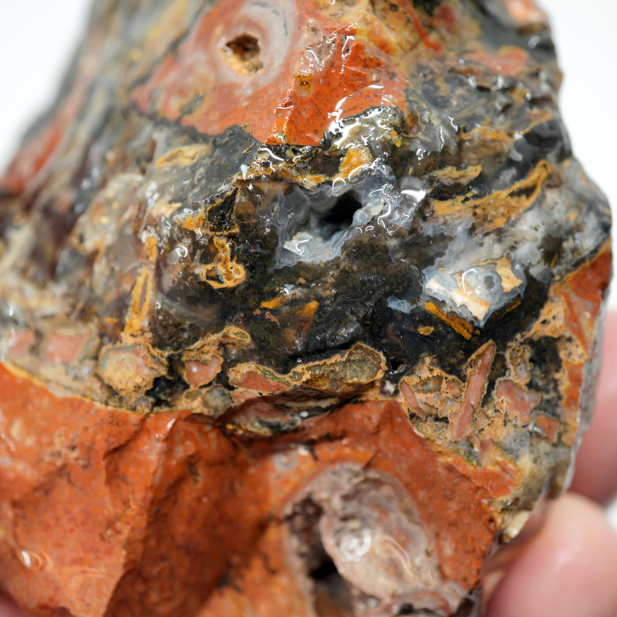 Eagle Rock Plume Agate Rough - Black Marcasite Plume Red Rhyolite Quant Collection