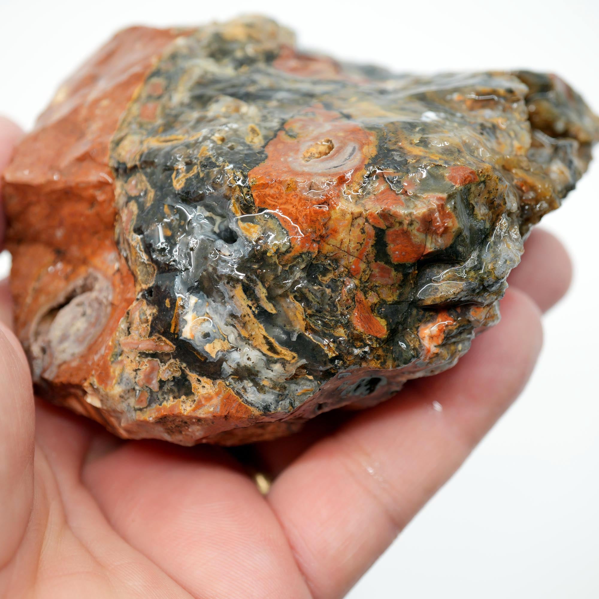 Eagle Rock Plume Agate Rough - Black Marcasite Plume Red Rhyolite Quant Collection