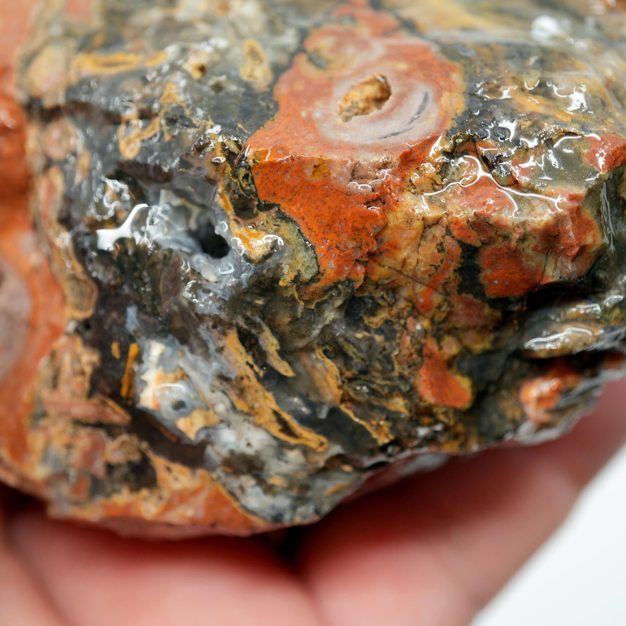 Eagle Rock Plume Agate Rough - Black Marcasite Plume Red Rhyolite Quant Collection